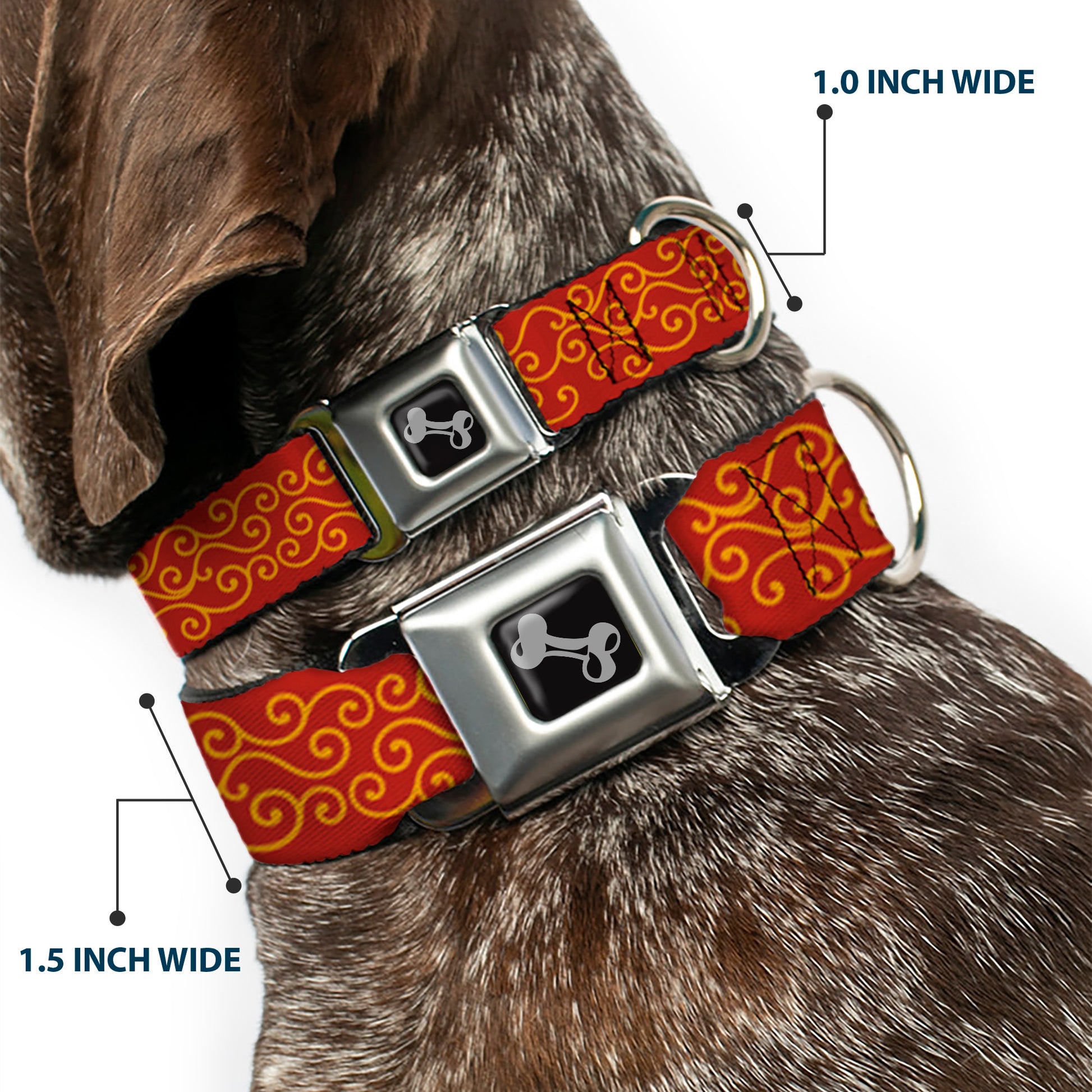 Dog Bone Seatbelt Buckle Collar - Holiday Trim Swirls Red/Gold Seatbelt Buckle Collars Buckle-Down