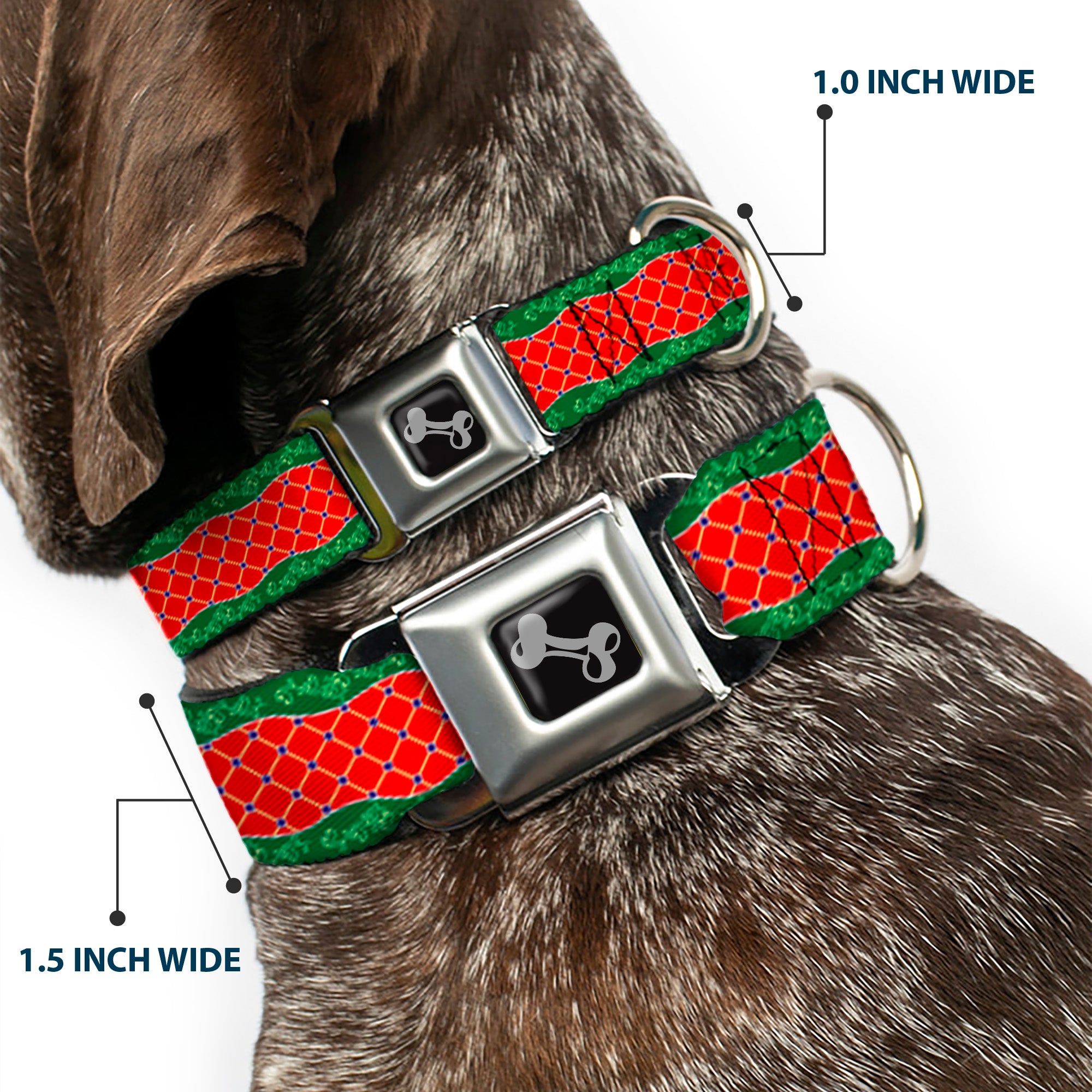 Dog Bone Seatbelt Buckle Collar - Holiday Trim Stripe Green/Red Seatbelt Buckle Collars Buckle-Down
