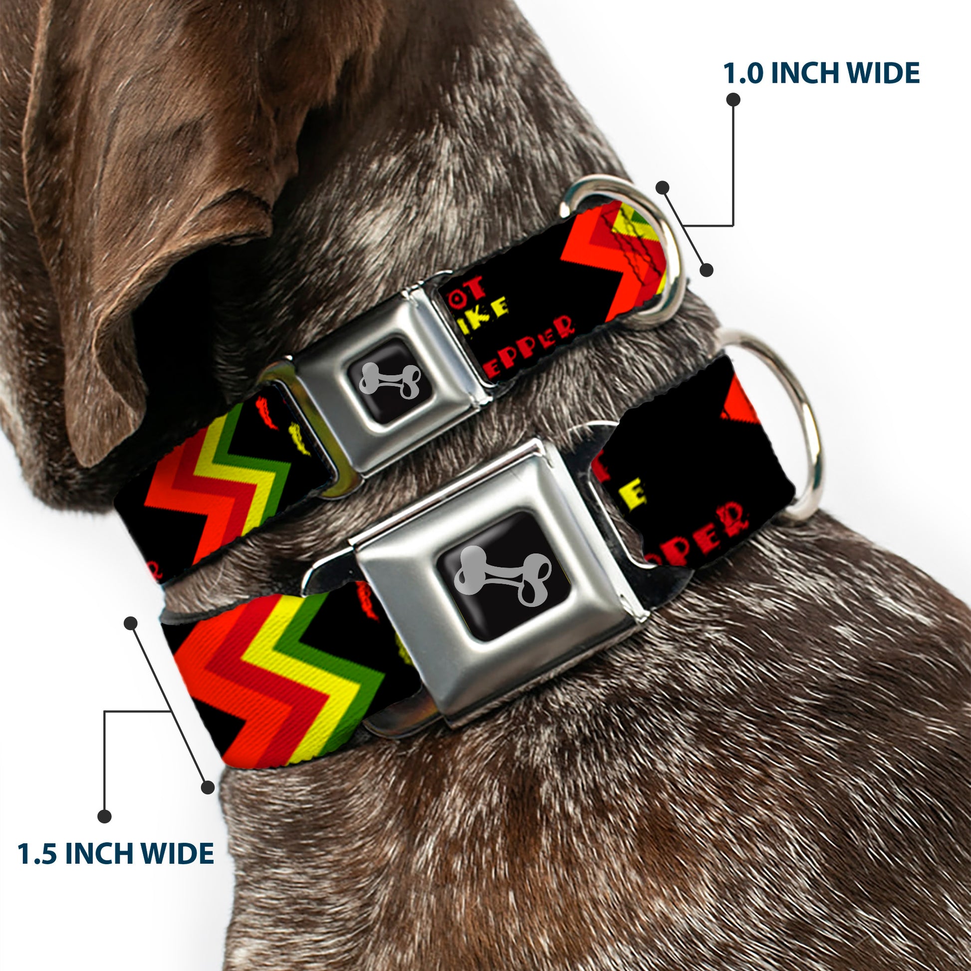 Dog Bone Seatbelt Buckle Collar - Hot Like A Pepper Seatbelt Buckle Collars Buckle-Down