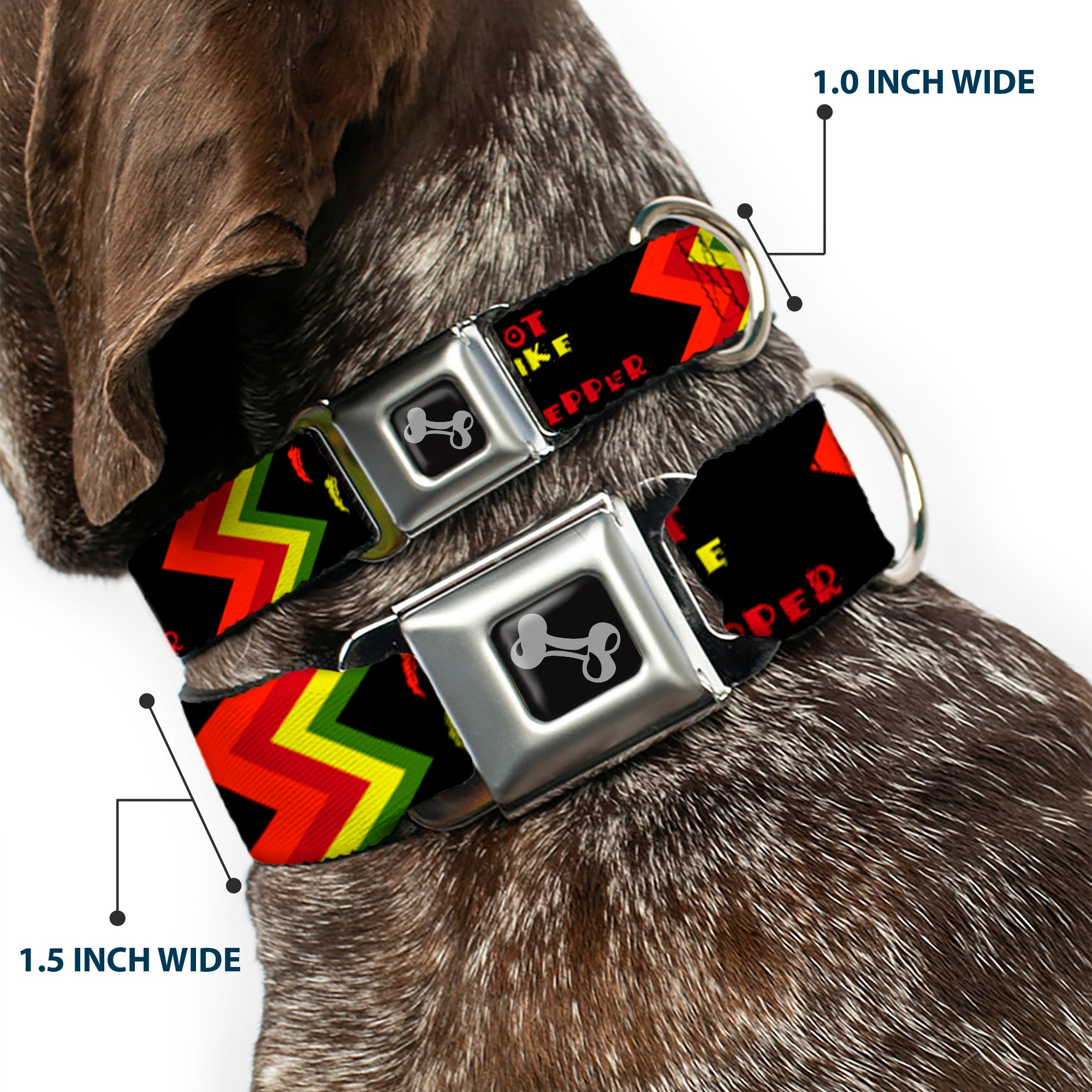 Dog Bone Seatbelt Buckle Collar - Hot Like A Pepper Seatbelt Buckle Collars Buckle-Down