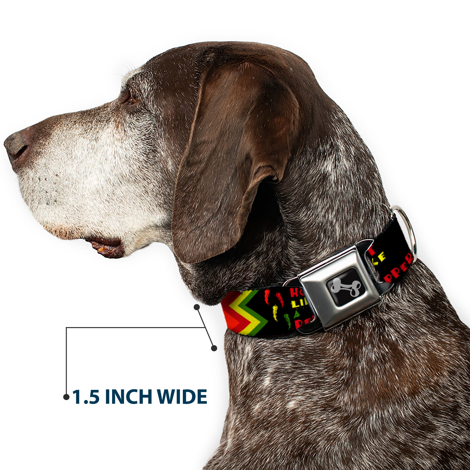 Dog Bone Seatbelt Buckle Collar - Hot Like A Pepper Seatbelt Buckle Collars Buckle-Down