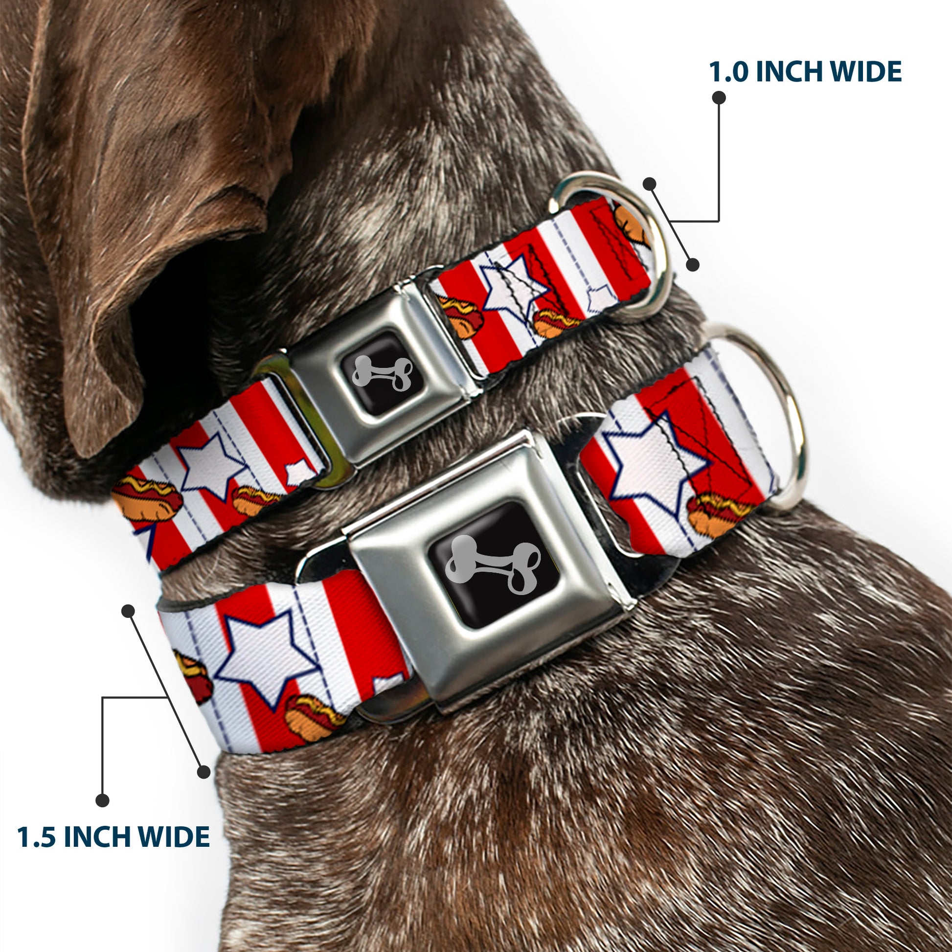 Dog Bone Seatbelt Buckle Collar - Hot Dogs Seatbelt Buckle Collars Buckle-Down