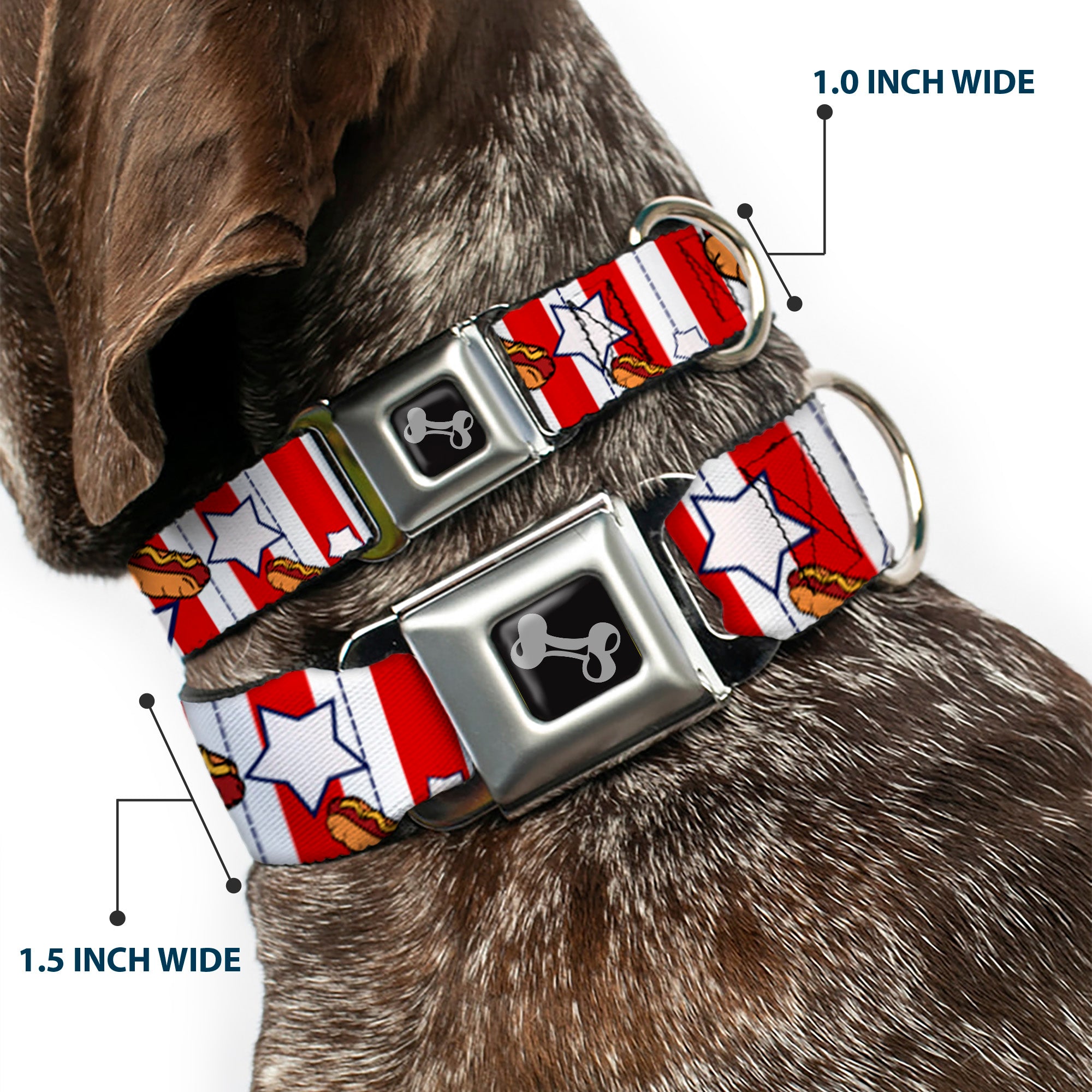 Dog Bone Seatbelt Buckle Collar - Hot Dogs Seatbelt Buckle Collars Buckle-Down