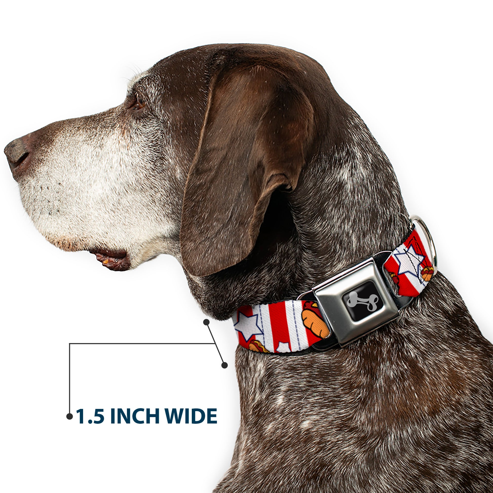 Dog Bone Seatbelt Buckle Collar - Hot Dogs Seatbelt Buckle Collars Buckle-Down
