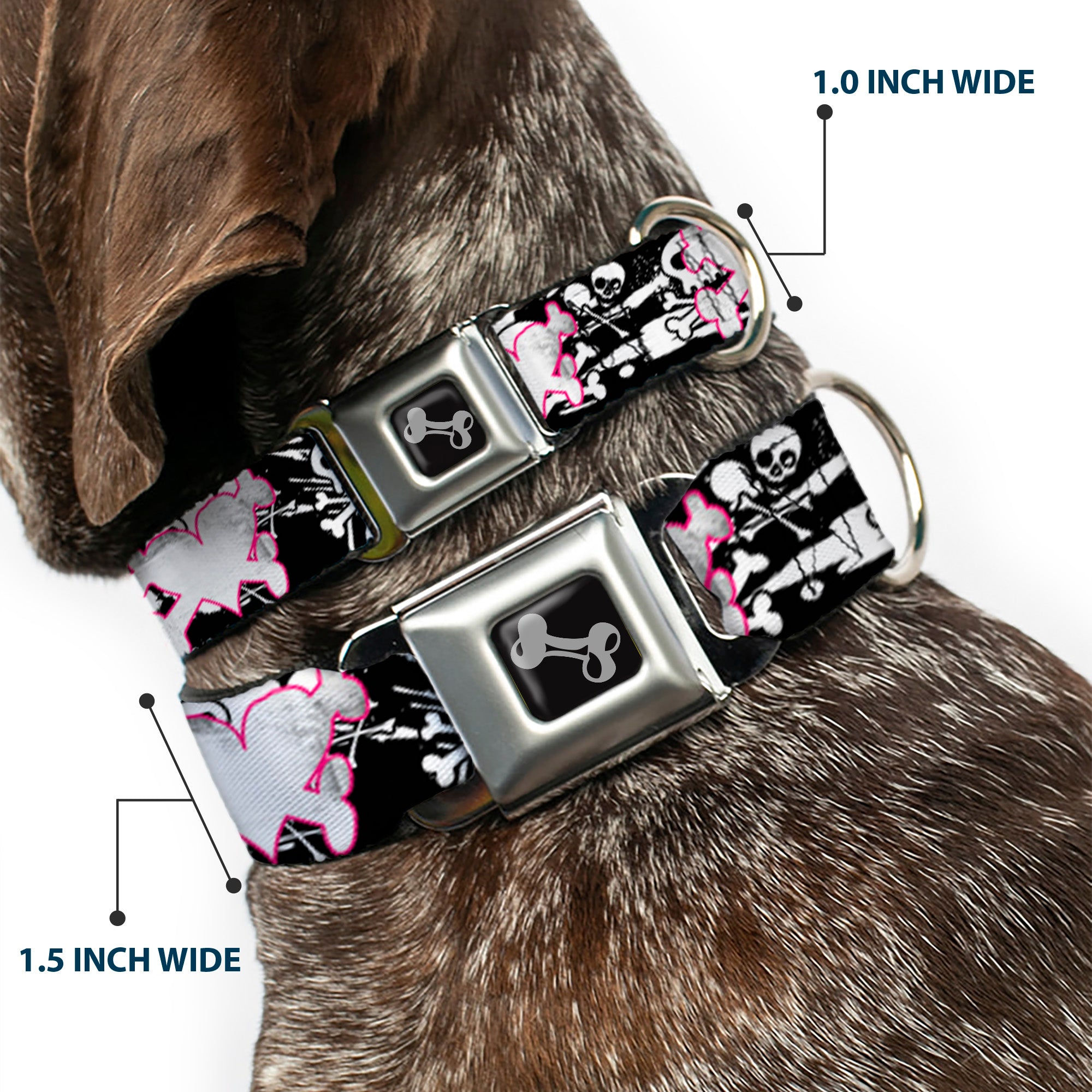 Dog Bone Seatbelt Buckle Collar - Heart & Cross Bones w/Skulls & Splatter Black/White Seatbelt Buckle Collars Buckle-Down