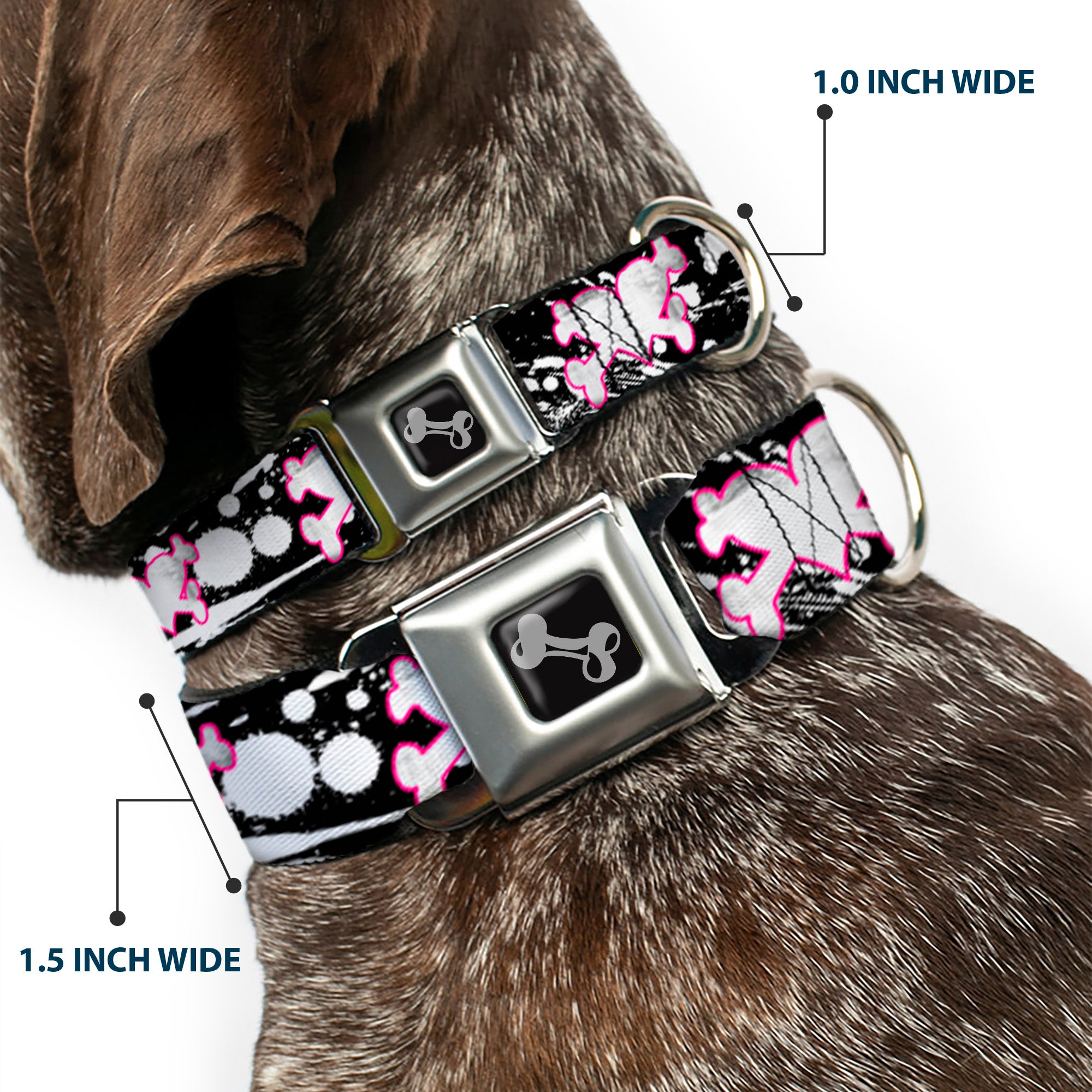 Dog Bone Seatbelt Buckle Collar - Heart & Cross Bones w/Splatter Black/White Seatbelt Buckle Collars Buckle-Down