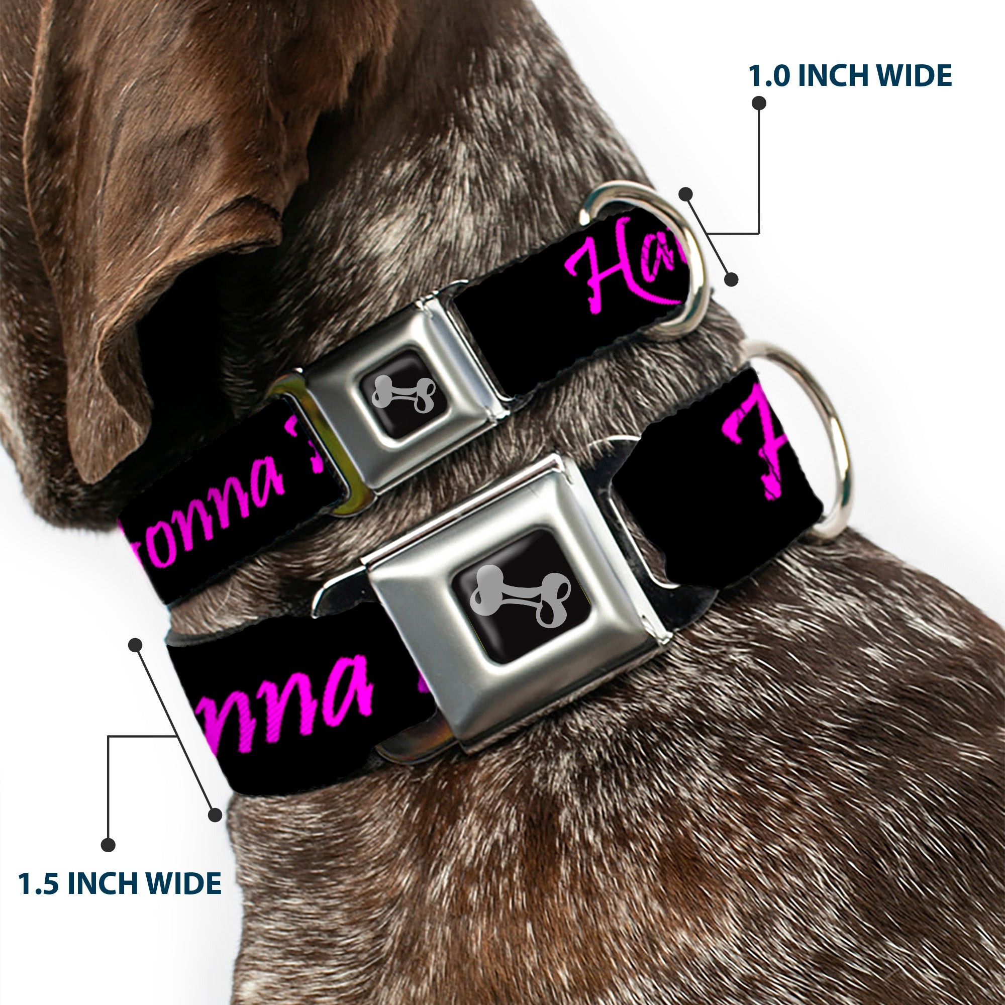 Dog Bone Seatbelt Buckle Collar - Haters Gonna Hate w/Gem Black/Fuchsia Seatbelt Buckle Collars Buckle-Down