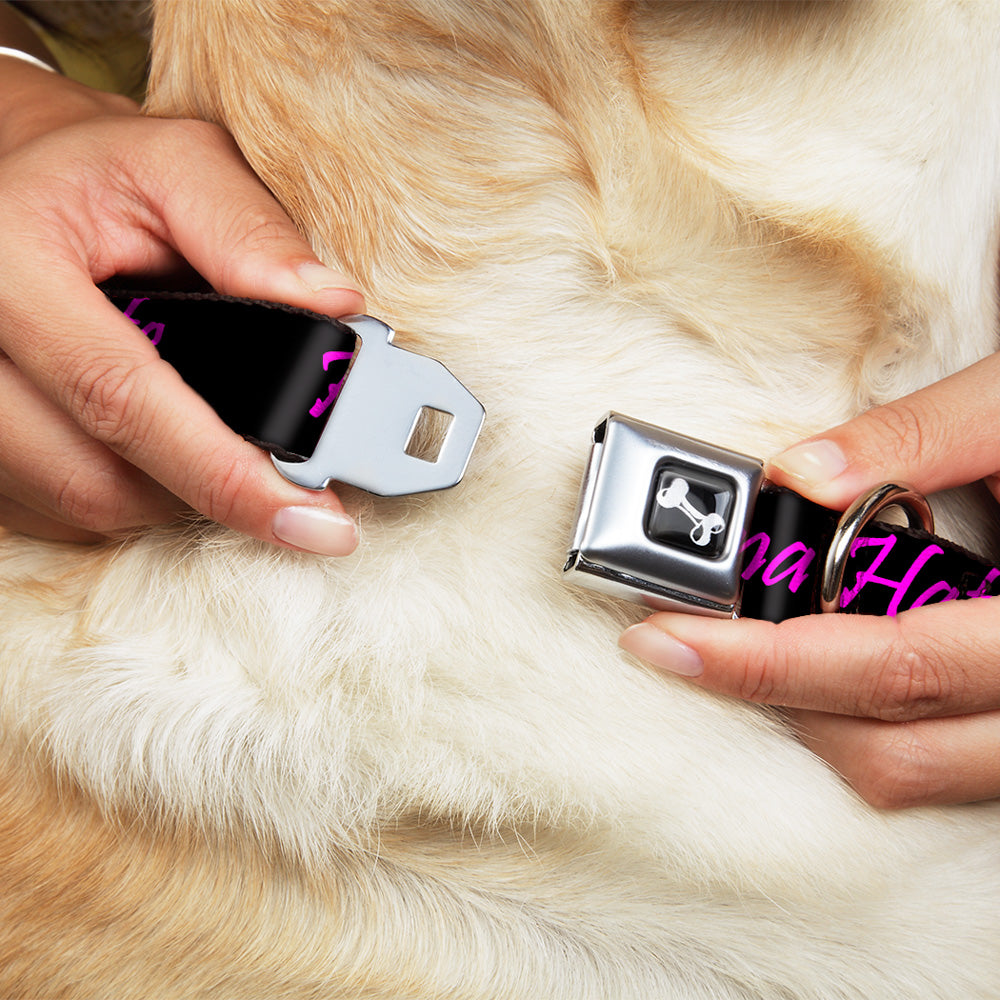 Dog Bone Seatbelt Buckle Collar - Haters Gonna Hate w/Gem Black/Fuchsia Seatbelt Buckle Collars Buckle-Down