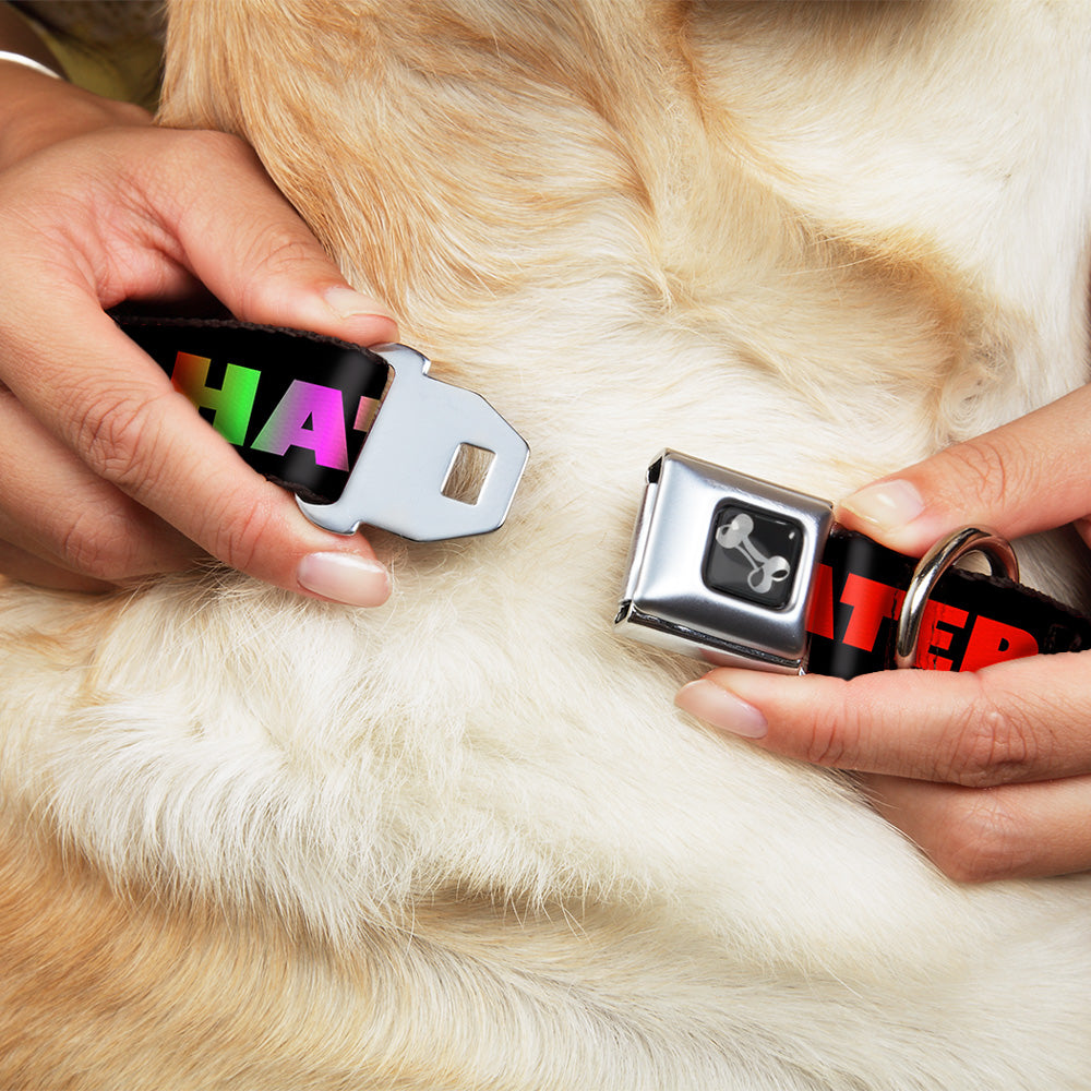 Dog Bone Seatbelt Buckle Collar - HATER Black/Red/Rainbow Fade Seatbelt Buckle Collars Buckle-Down