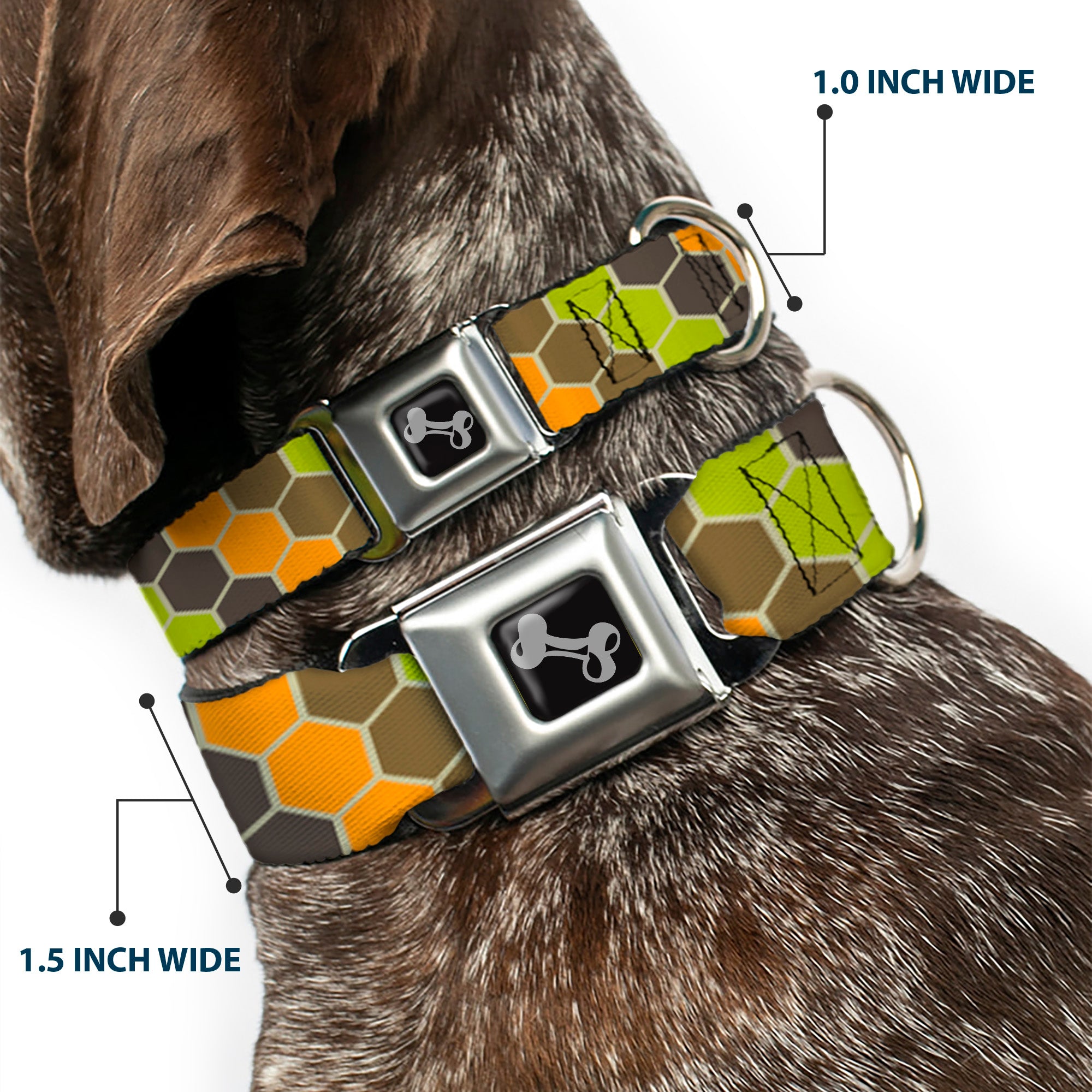 Dog Bone Seatbelt Buckle Collar - Honeycomb Greens/Orange Seatbelt Buckle Collars Buckle-Down