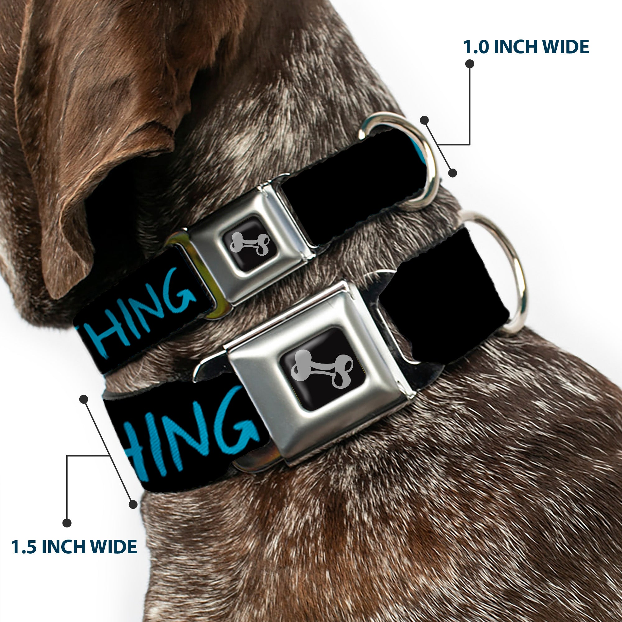 Dog Bone Seatbelt Buckle Collar - HIPSTERS RUIN EVERYTHING Black/Blue Seatbelt Buckle Collars Buckle-Down