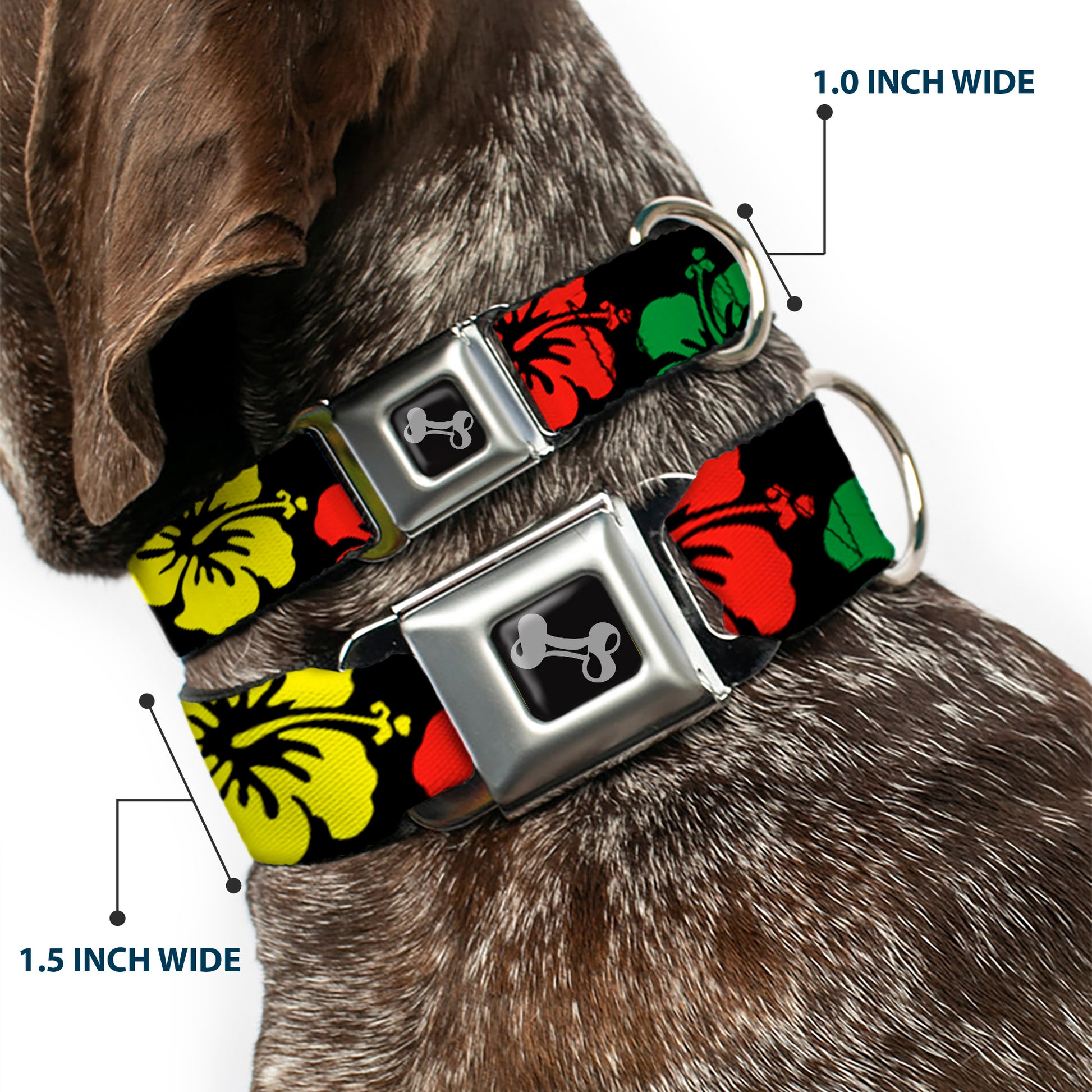 Dog Bone Seatbelt Buckle Collar - Hibiscus CLOSE-UP Black/Green/Yellow/Red Seatbelt Buckle Collars Buckle-Down