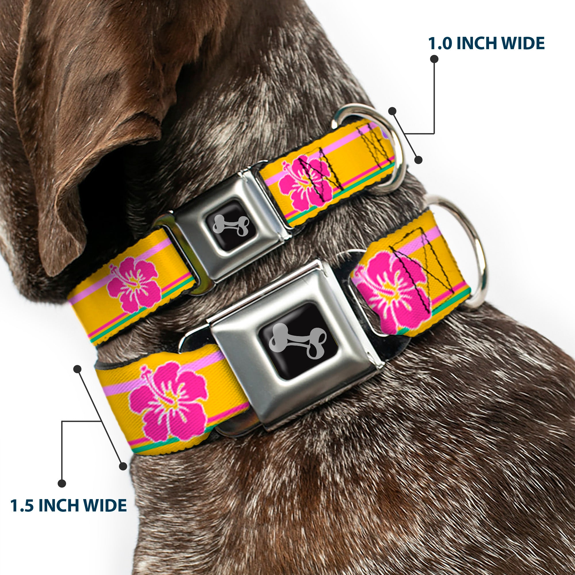 Dog Bone Seatbelt Buckle Collar - Hibiscus w/Stripes Gold/Multi Pastel Seatbelt Buckle Collars Buckle-Down