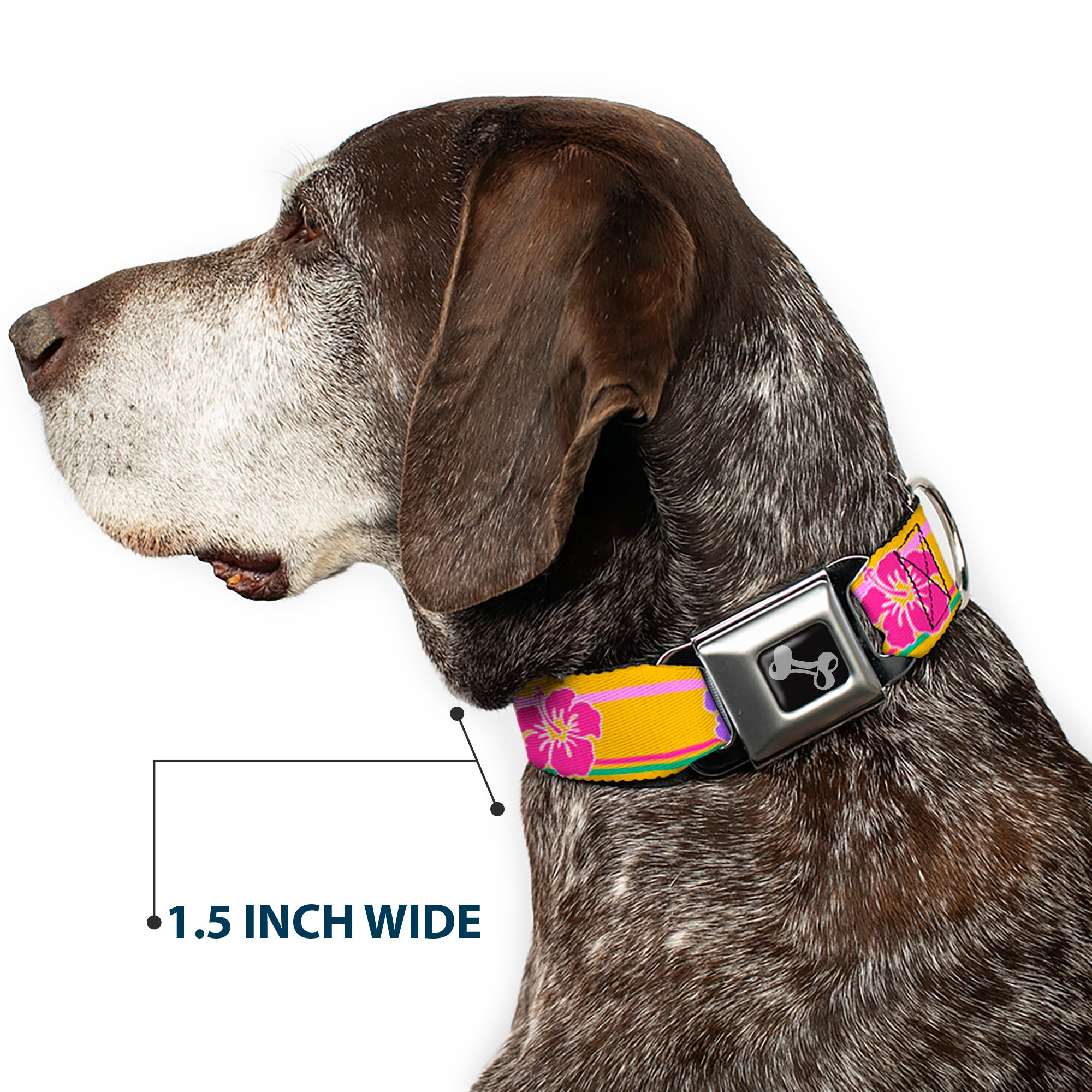 Dog Bone Seatbelt Buckle Collar - Hibiscus w/Stripes Gold/Multi Pastel Seatbelt Buckle Collars Buckle-Down