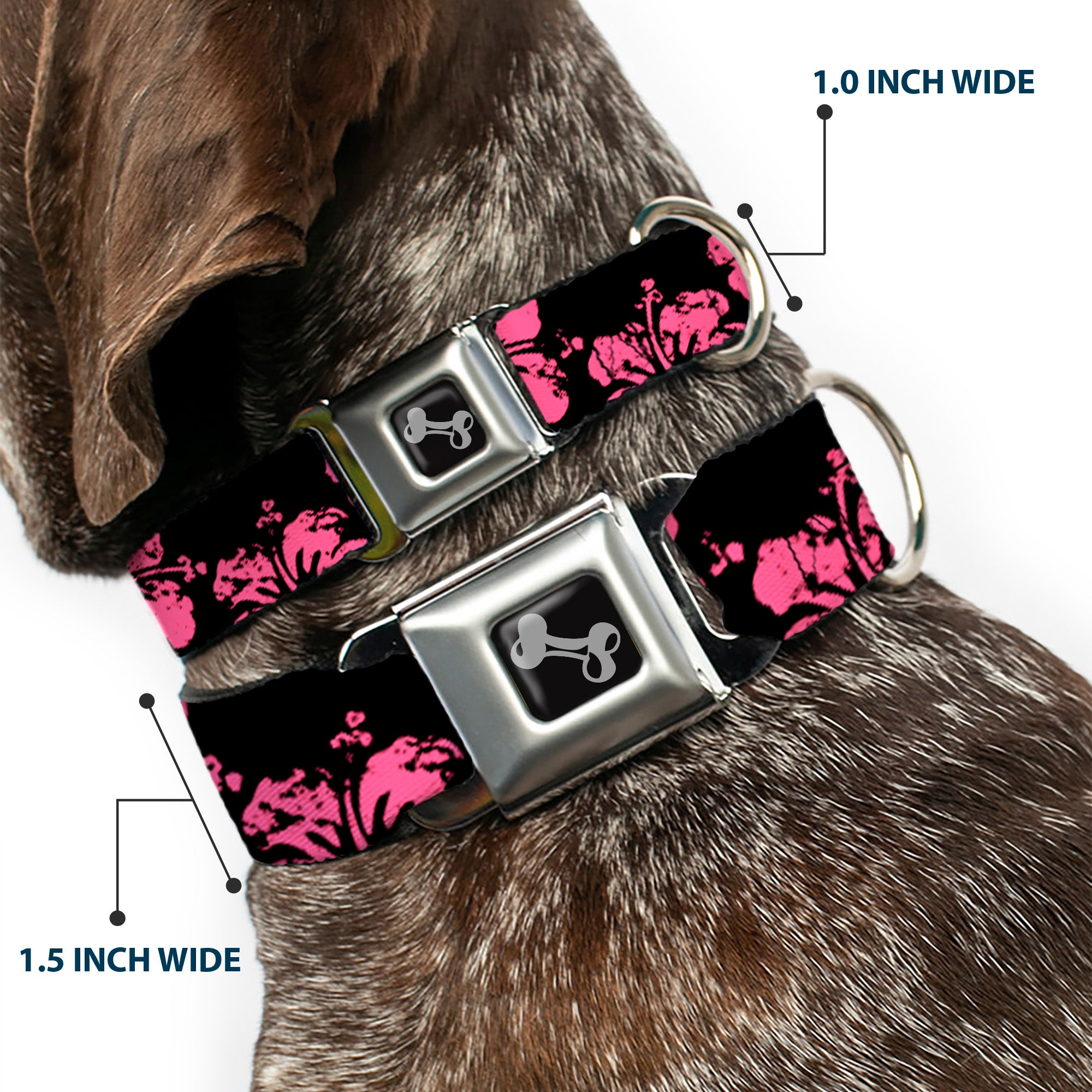 Dog Bone Seatbelt Buckle Collar - Hibiscus Weathered Black/Pink Seatbelt Buckle Collars Buckle-Down