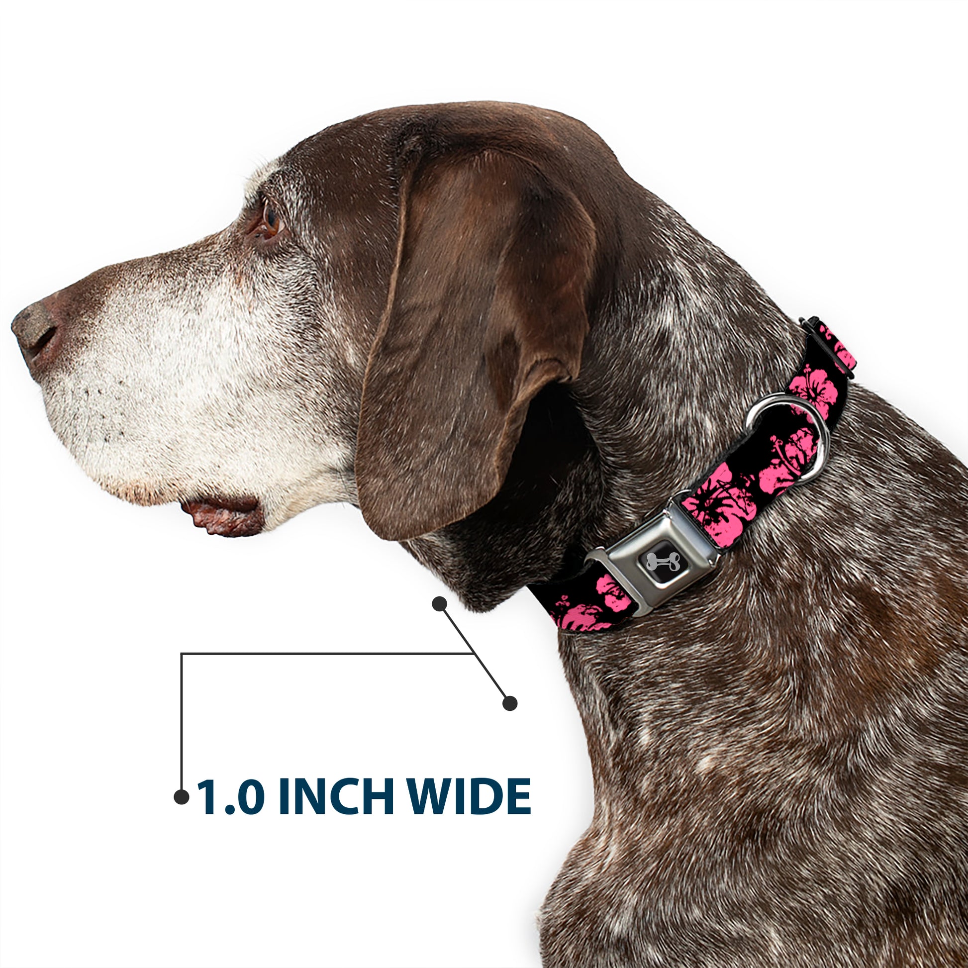Dog Bone Seatbelt Buckle Collar - Hibiscus Weathered Black/Pink Seatbelt Buckle Collars Buckle-Down