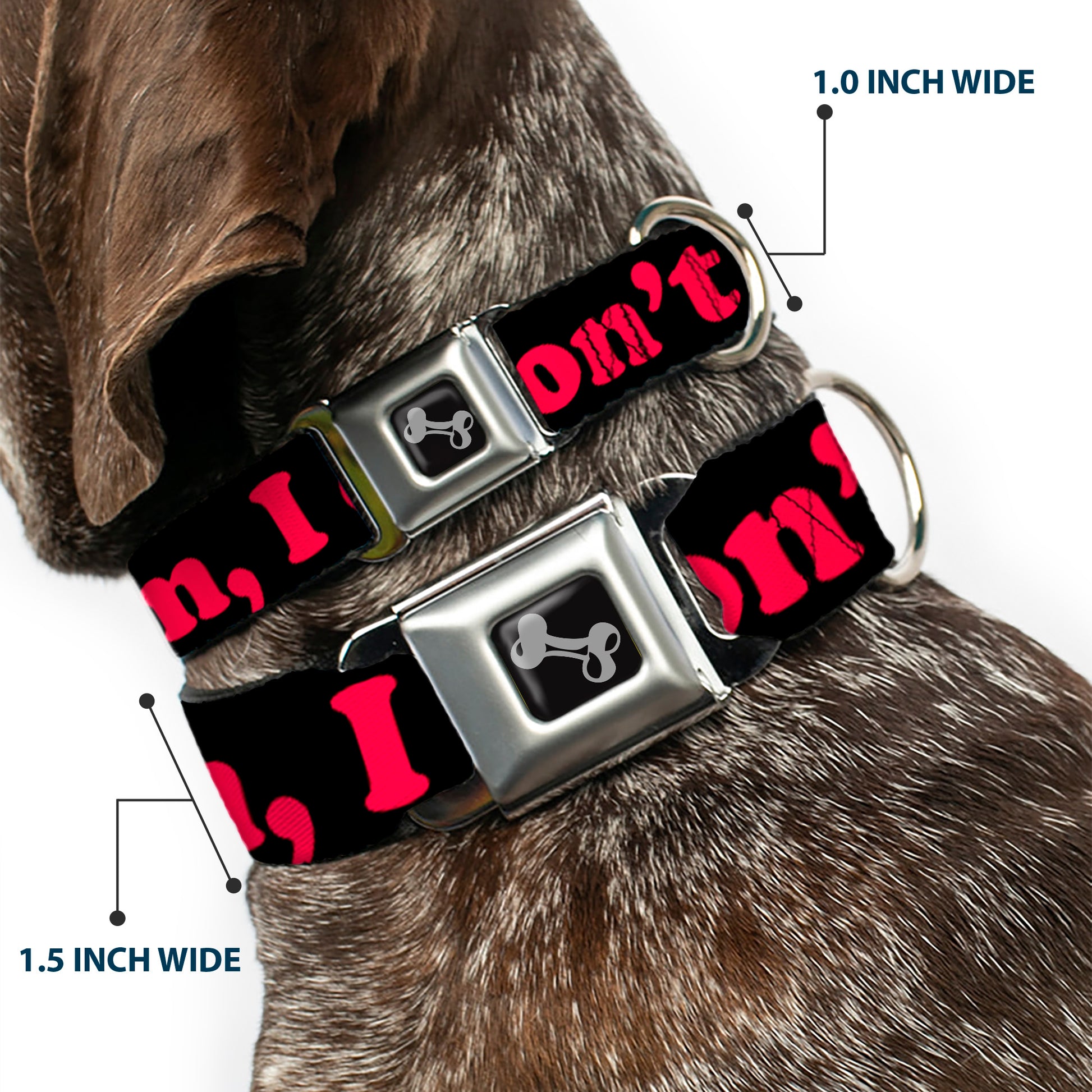 Dog Bone Seatbelt Buckle Collar - HMMM, I DON'T THINK SO! Black/Pink Seatbelt Buckle Collars Buckle-Down