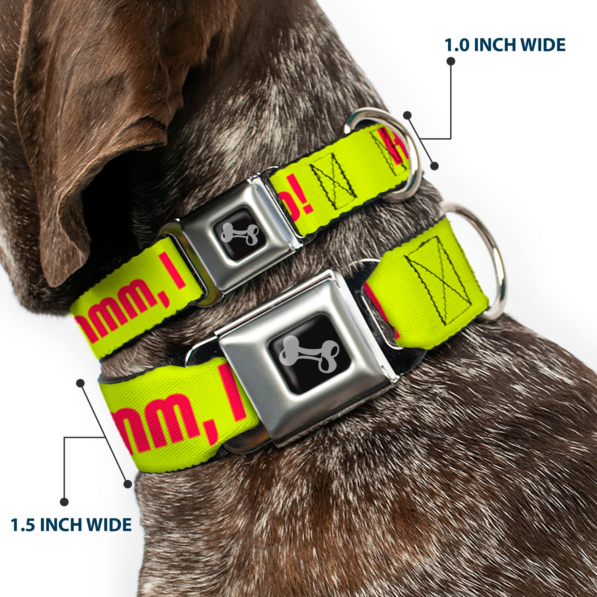 Dog Bone Seatbelt Buckle Collar - HMMM, I DON'T THINK SO! Yellow/Pink Seatbelt Buckle Collars Buckle-Down