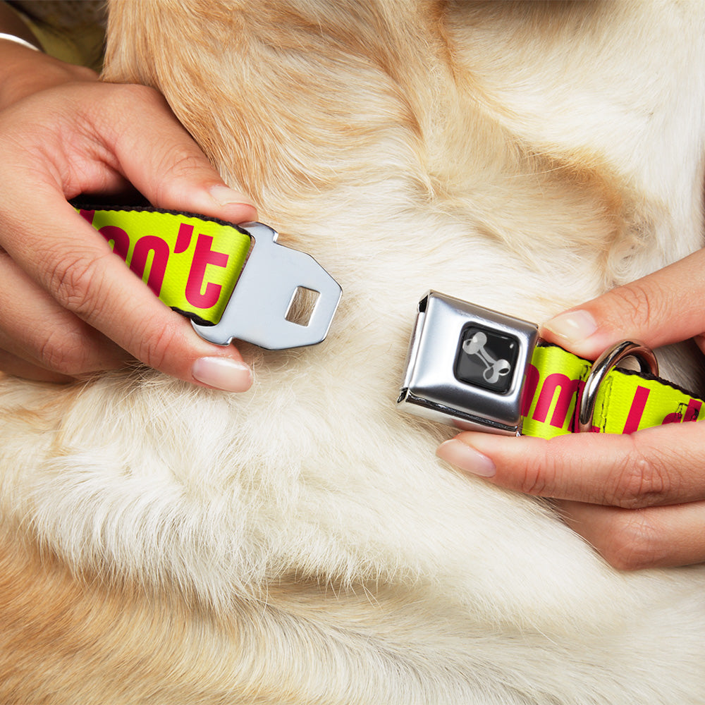 Dog Bone Seatbelt Buckle Collar - HMMM, I DON'T THINK SO! Yellow/Pink Seatbelt Buckle Collars Buckle-Down