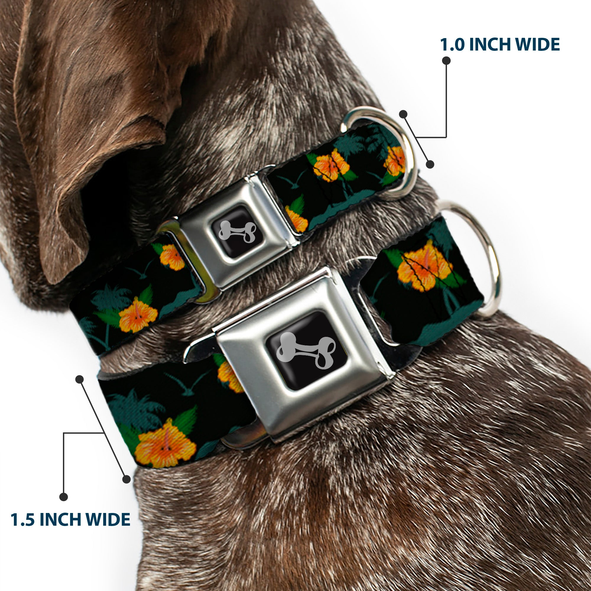 Dog Bone Seatbelt Buckle Collar - Hibiscus Flowers Black/Green/Orange Seatbelt Buckle Collars Buckle-Down