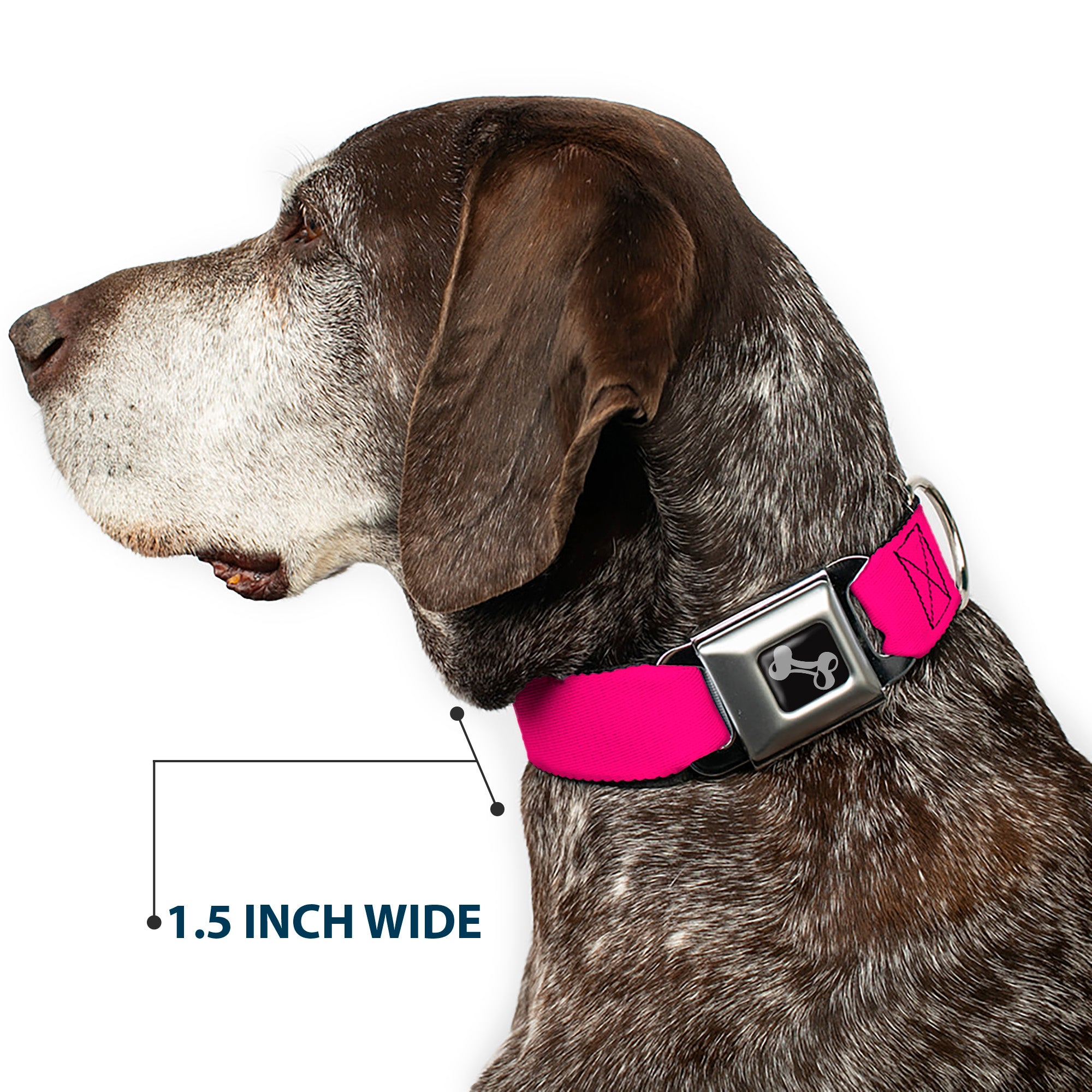 Dog Bone Black/Silver Seatbelt Buckle Collar - Hot Pink PMS 219 Seatbelt Buckle Collars Buckle-Down