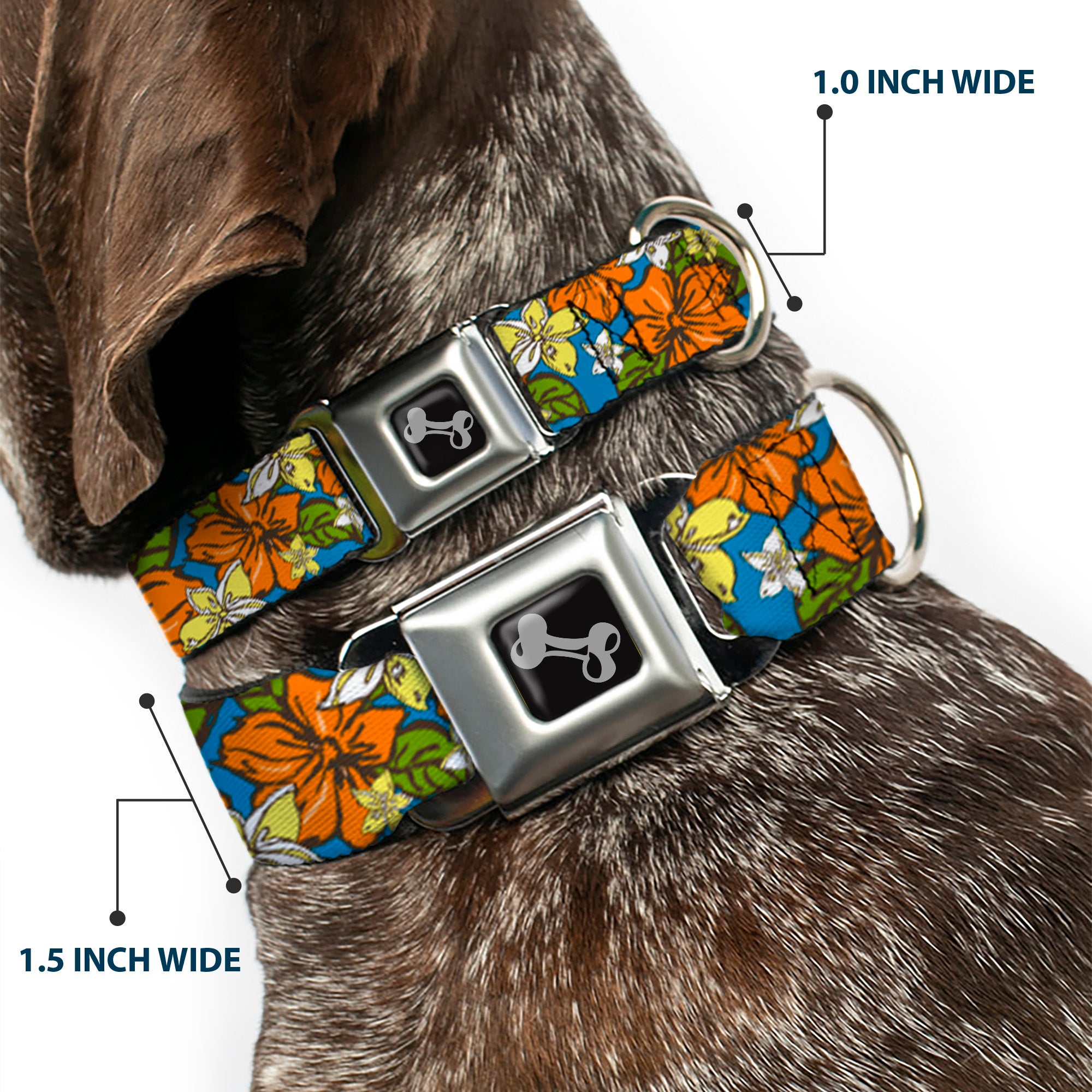 Dog Bone Seatbelt Buckle Collar - Hibiscus Collage Blue/Orange/Yellow Seatbelt Buckle Collars Buckle-Down