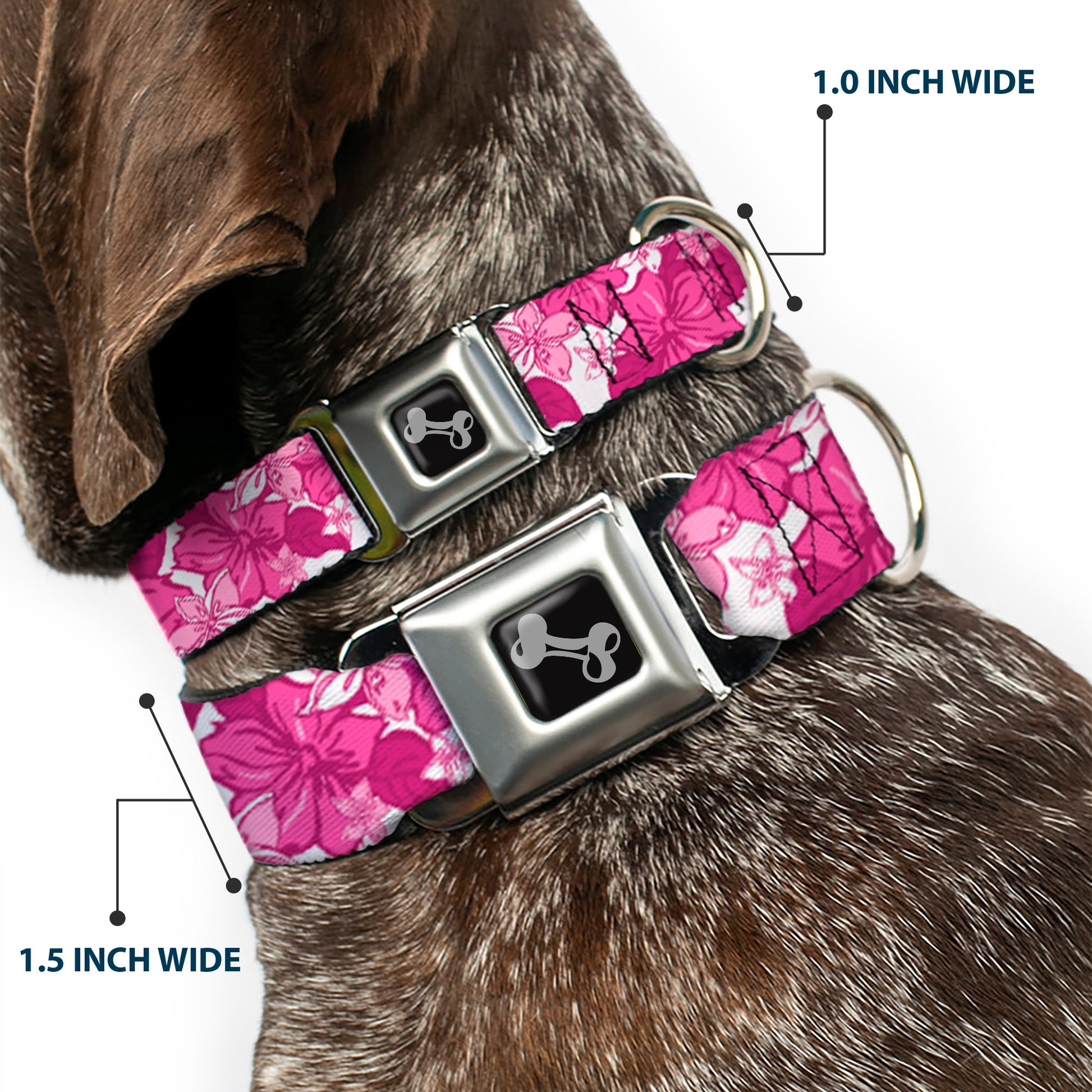 Dog Bone Seatbelt Buckle Collar - Hibiscus Collage White/Pinks Seatbelt Buckle Collars Buckle-Down