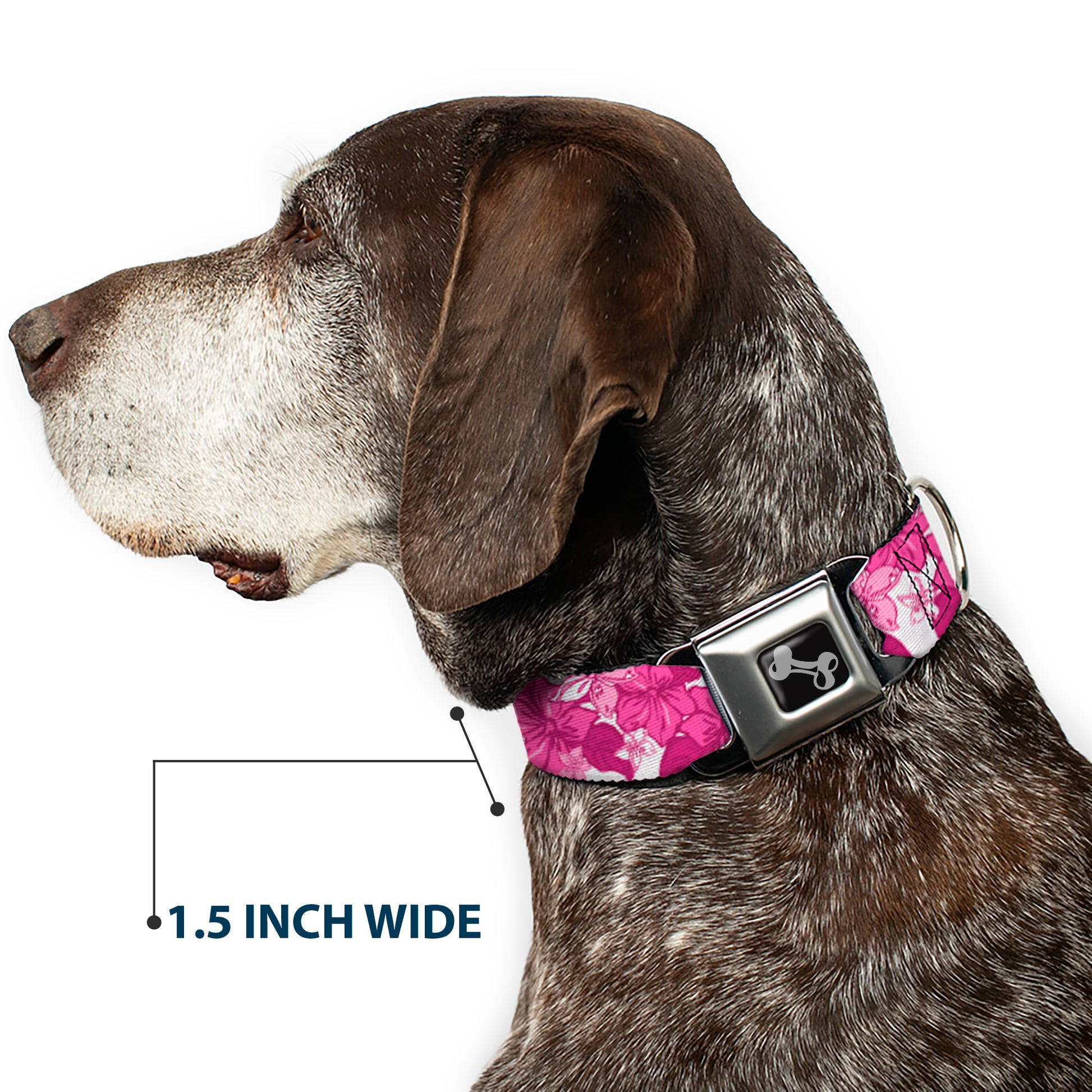 Dog Bone Seatbelt Buckle Collar - Hibiscus Collage White/Pinks Seatbelt Buckle Collars Buckle-Down