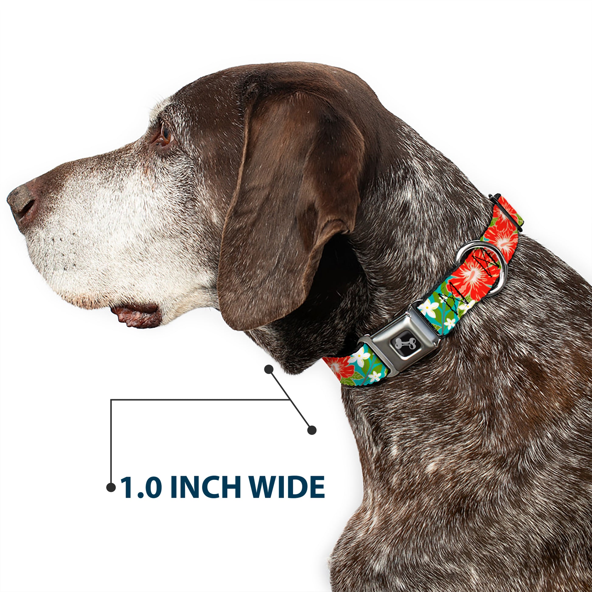 Dog Bone Seatbelt Buckle Collar - Hibiscus & Plumerias Turquoise/Green/Red/White Seatbelt Buckle Collars Buckle-Down