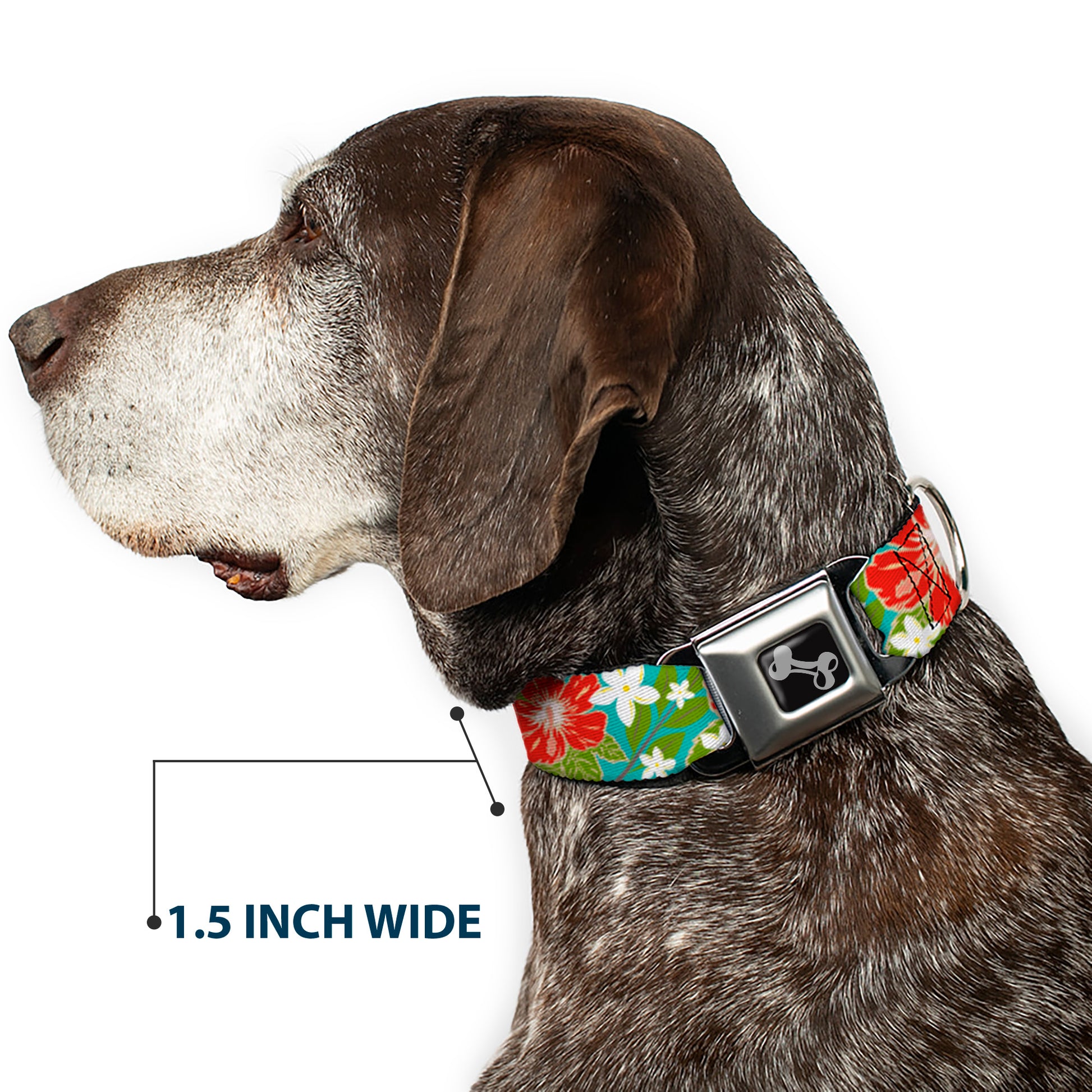 Dog Bone Seatbelt Buckle Collar - Hibiscus & Plumerias Turquoise/Green/Red/White Seatbelt Buckle Collars Buckle-Down