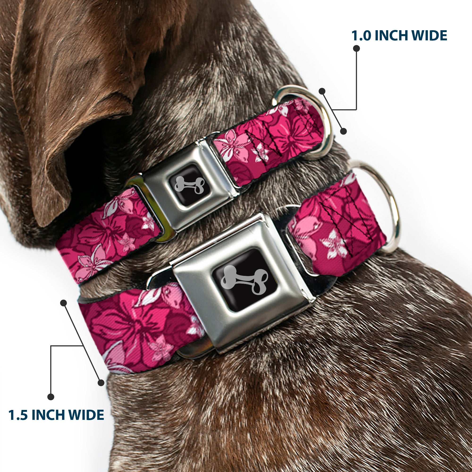 Dog Bone Seatbelt Buckle Collar - Hibiscus Collage Pink Shades Seatbelt Buckle Collars Buckle-Down