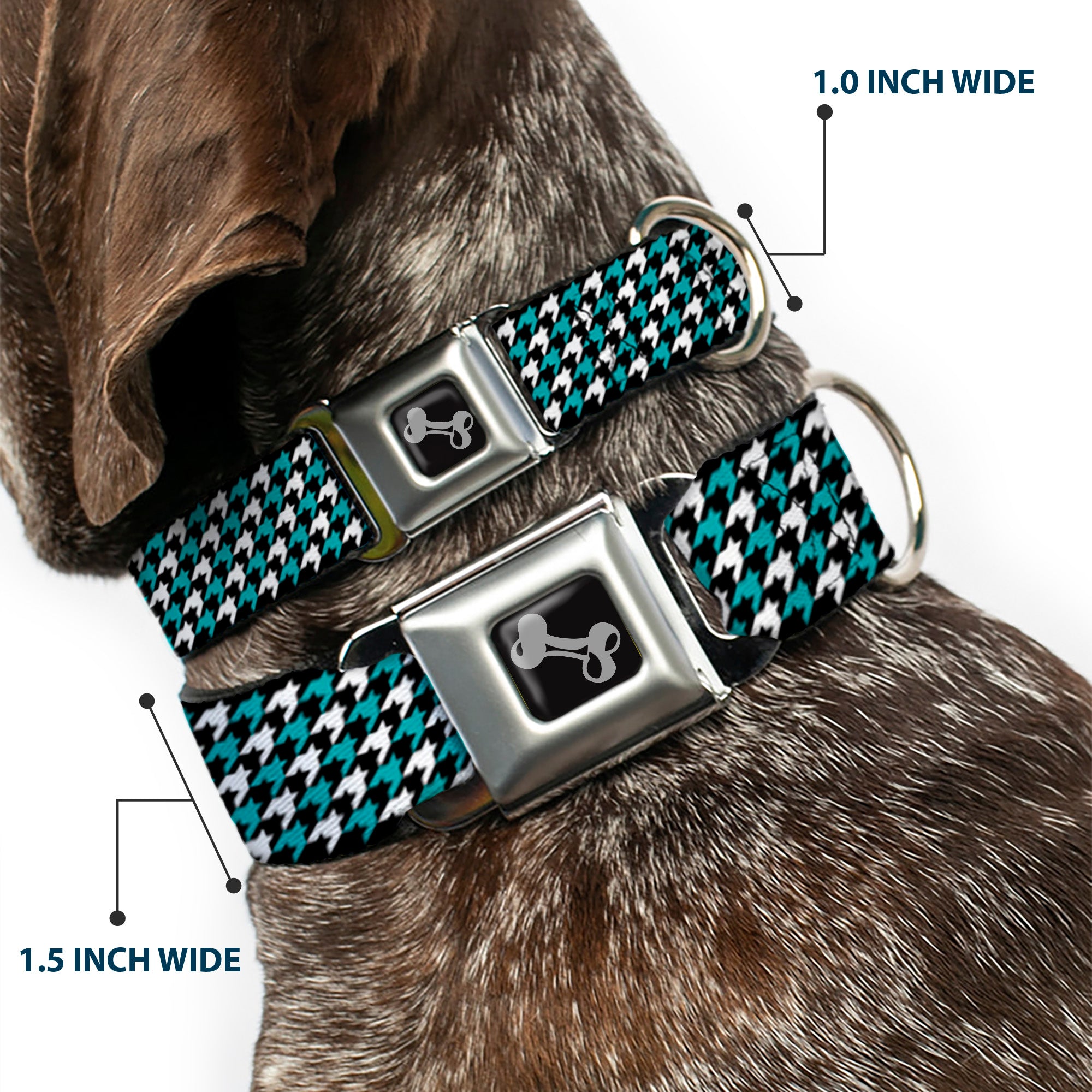 Dog Bone Seatbelt Buckle Collar - Houndstooth Black/White/Turquoise Seatbelt Buckle Collars Buckle-Down