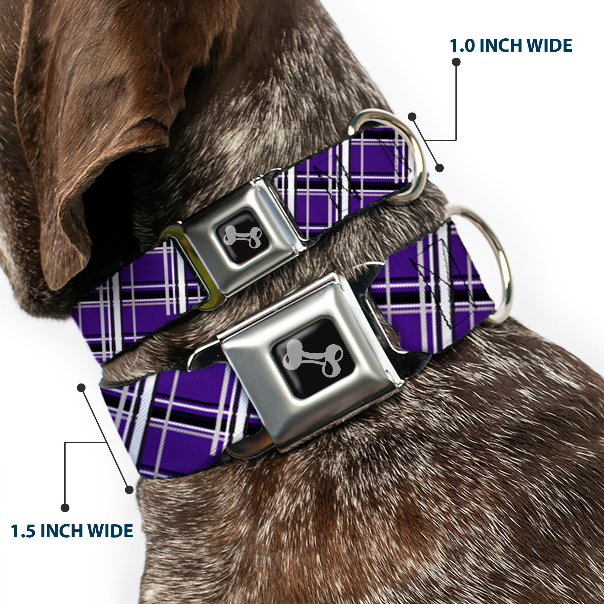 Dog Bone Seatbelt Buckle Collar - Houndstooth Gray/Purple/White Seatbelt Buckle Collars Buckle-Down