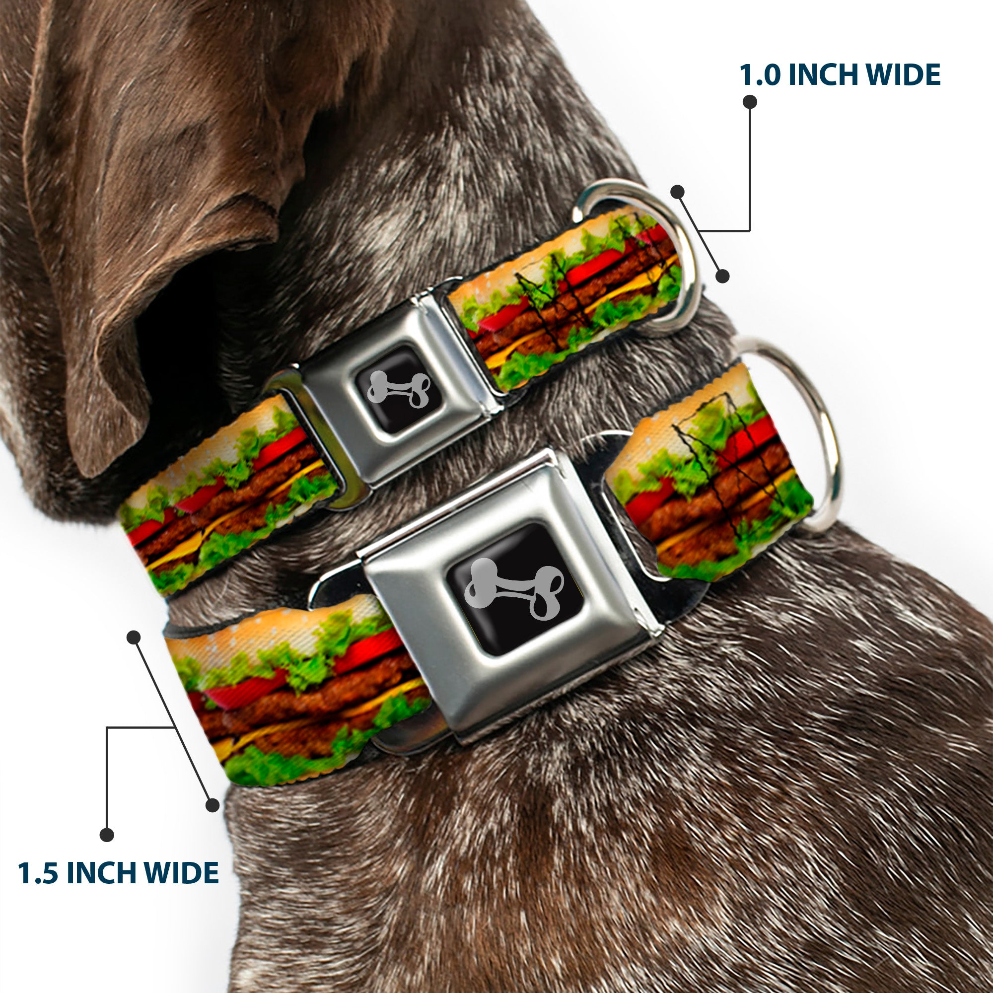 Dog Bone Seatbelt Buckle Collar - Hamburger Vivid Seatbelt Buckle Collars Buckle-Down