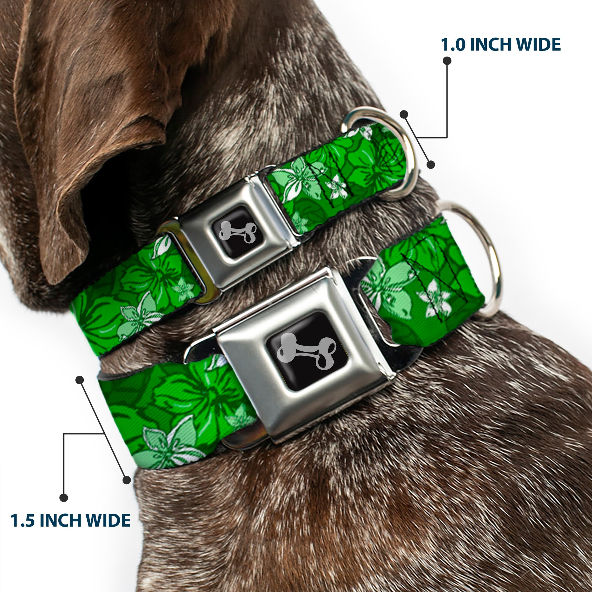 Dog Bone Seatbelt Buckle Collar - Hibiscus Collage Green Shades Seatbelt Buckle Collars Buckle-Down