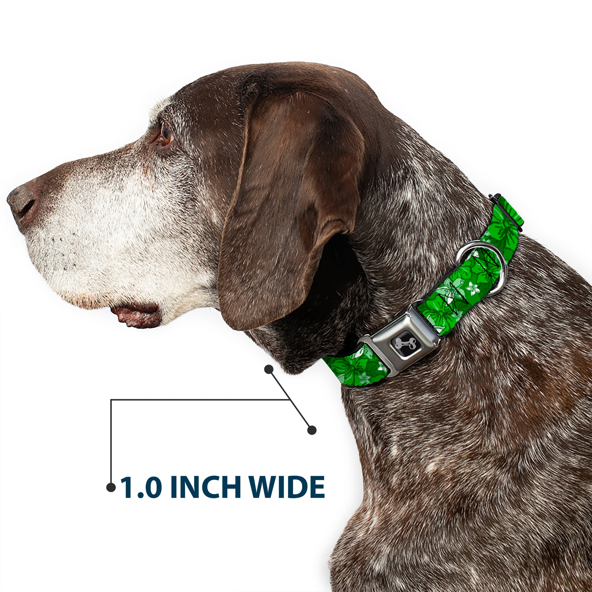 Dog Bone Seatbelt Buckle Collar - Hibiscus Collage Green Shades Seatbelt Buckle Collars Buckle-Down