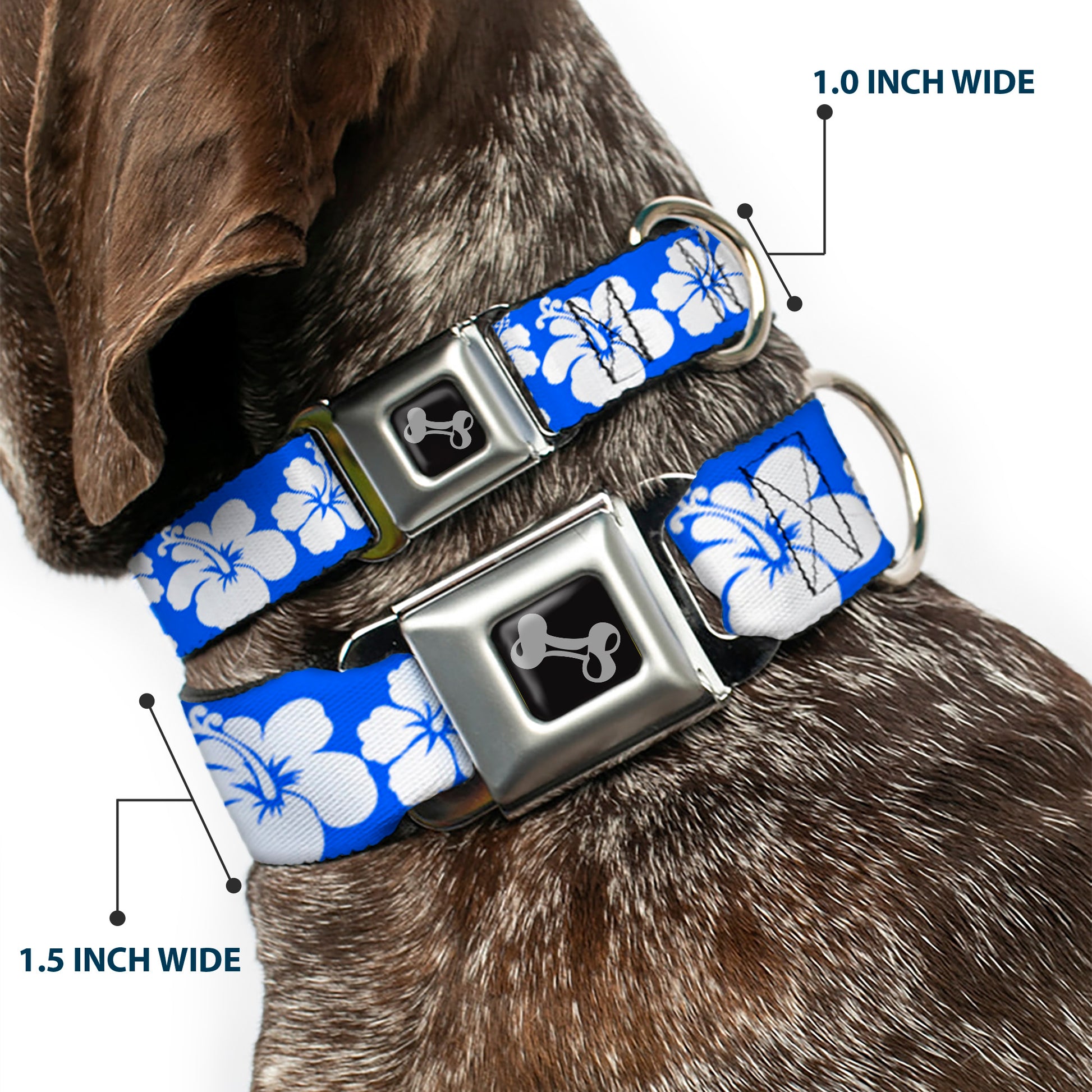 Dog Bone Seatbelt Buckle Collar - Hibiscus Blue/White Seatbelt Buckle Collars Buckle-Down