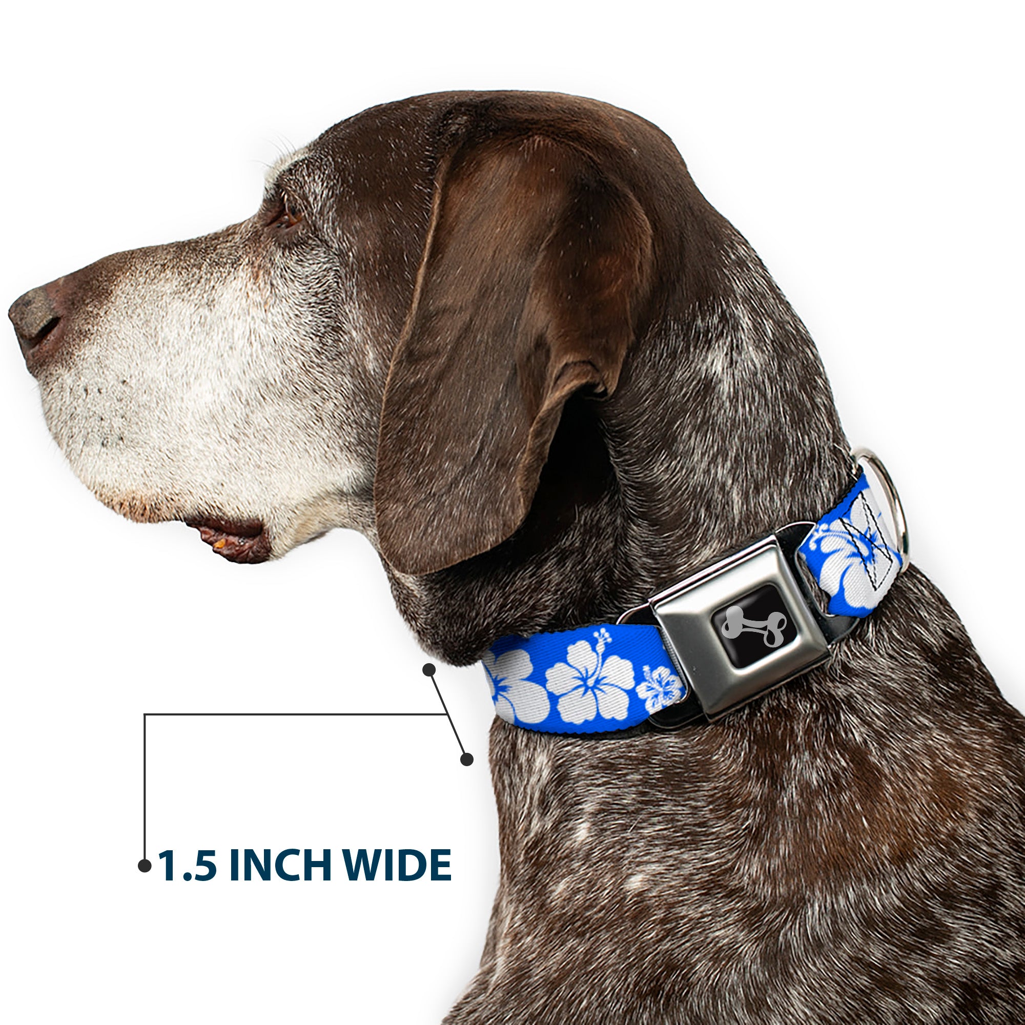 Dog Bone Seatbelt Buckle Collar - Hibiscus Blue/White Seatbelt Buckle Collars Buckle-Down