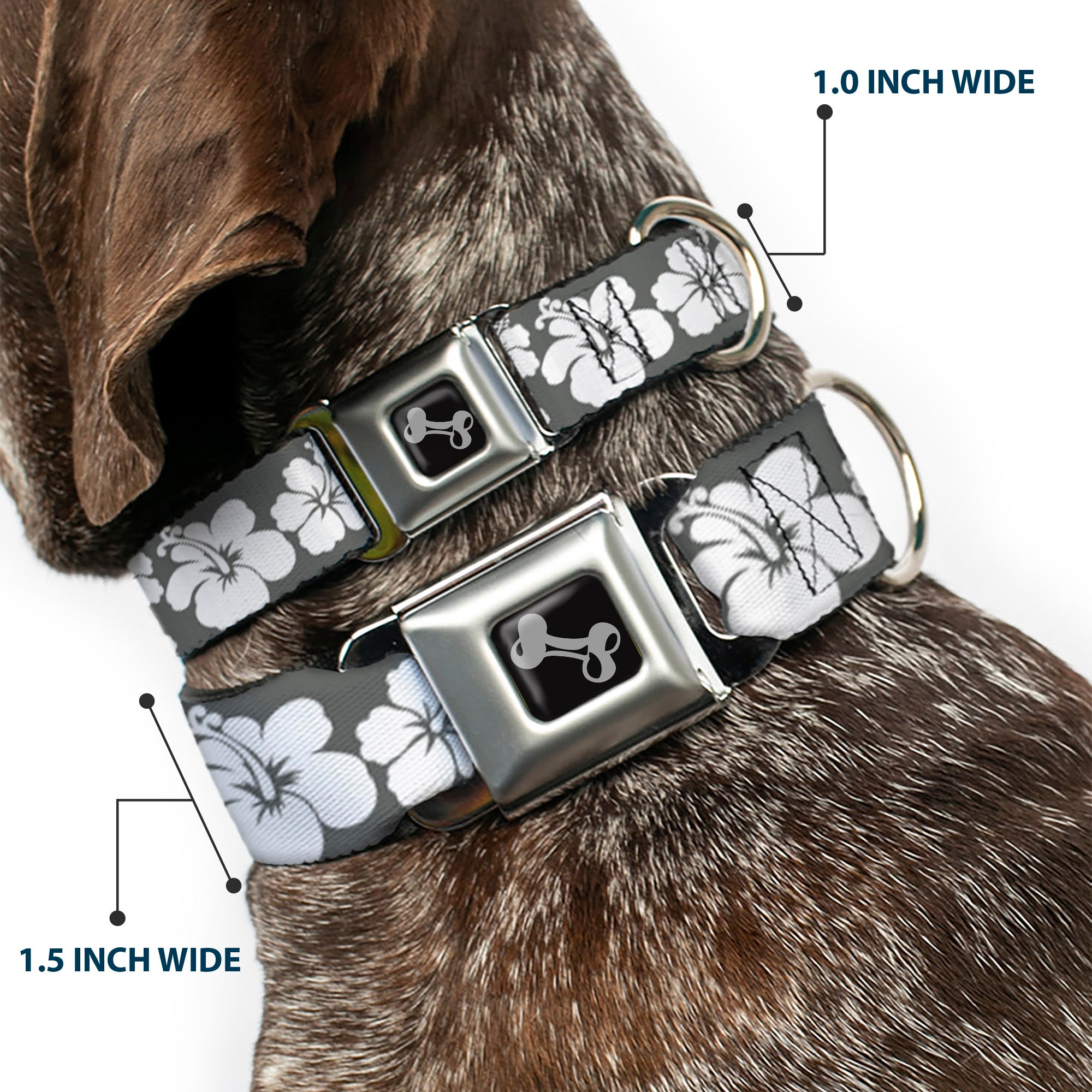 Dog Bone Seatbelt Buckle Collar - Hibiscus Gray/White Seatbelt Buckle Collars Buckle-Down