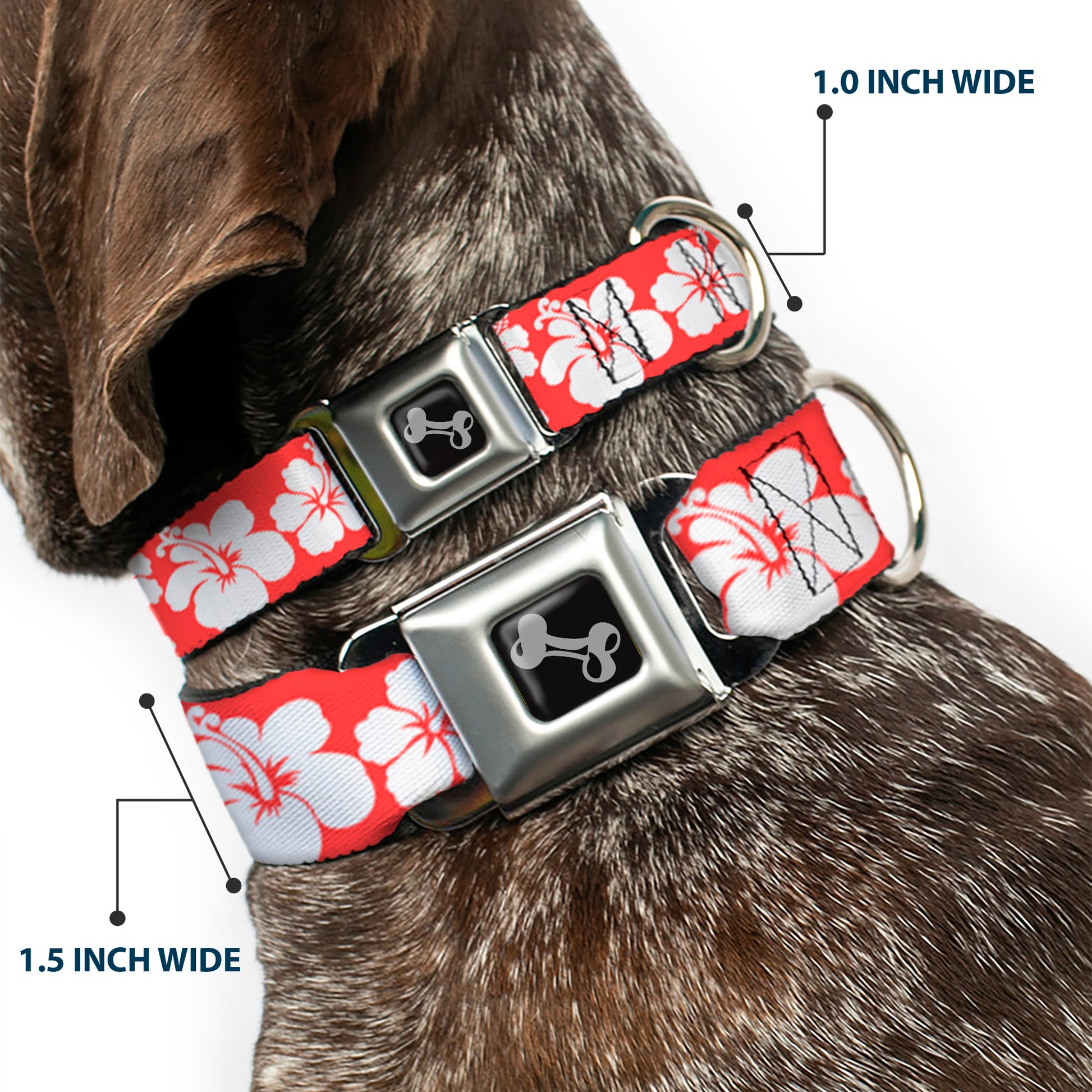 Dog Bone Seatbelt Buckle Collar - Hibiscus Light Red/White Seatbelt Buckle Collars Buckle-Down