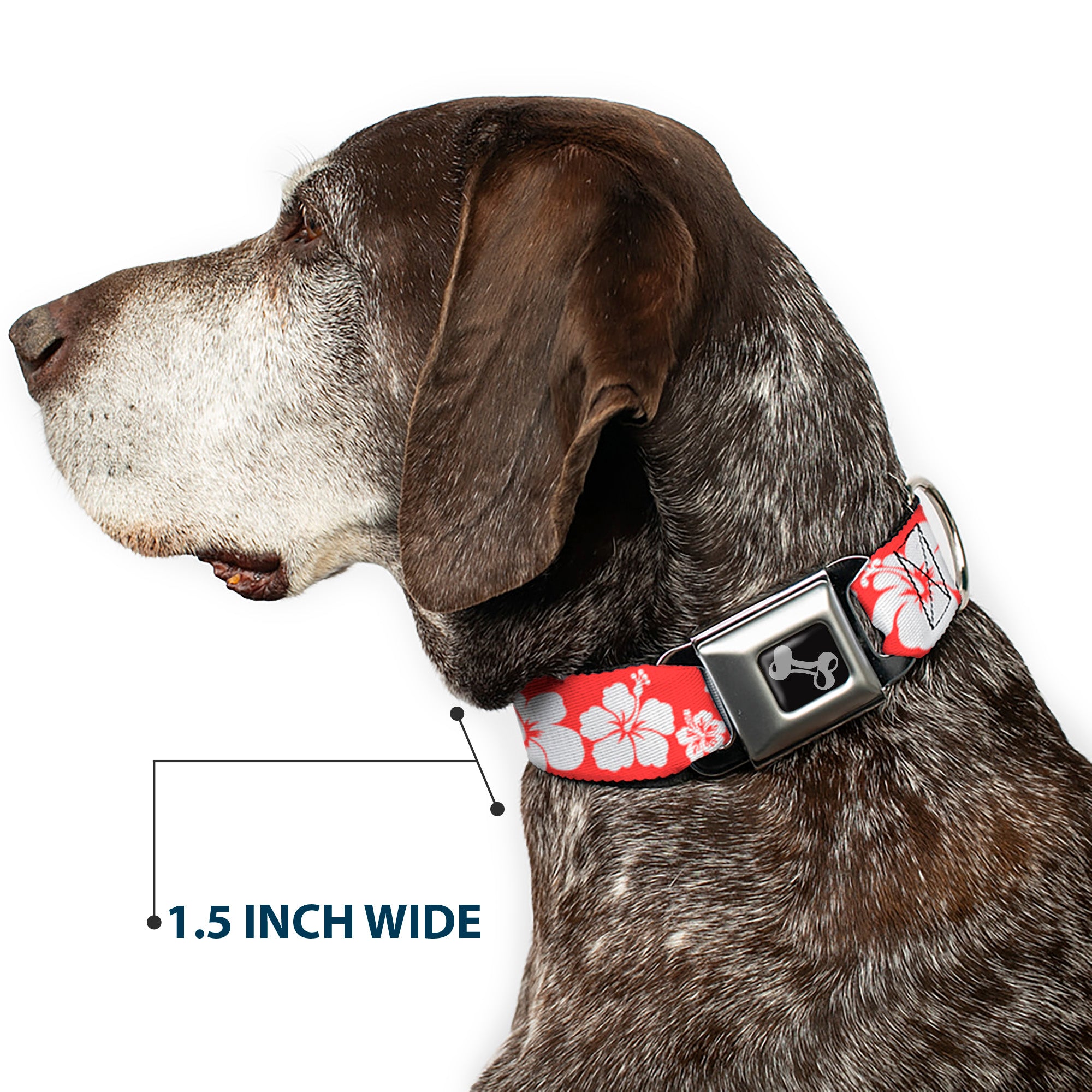 Dog Bone Seatbelt Buckle Collar - Hibiscus Light Red/White Seatbelt Buckle Collars Buckle-Down