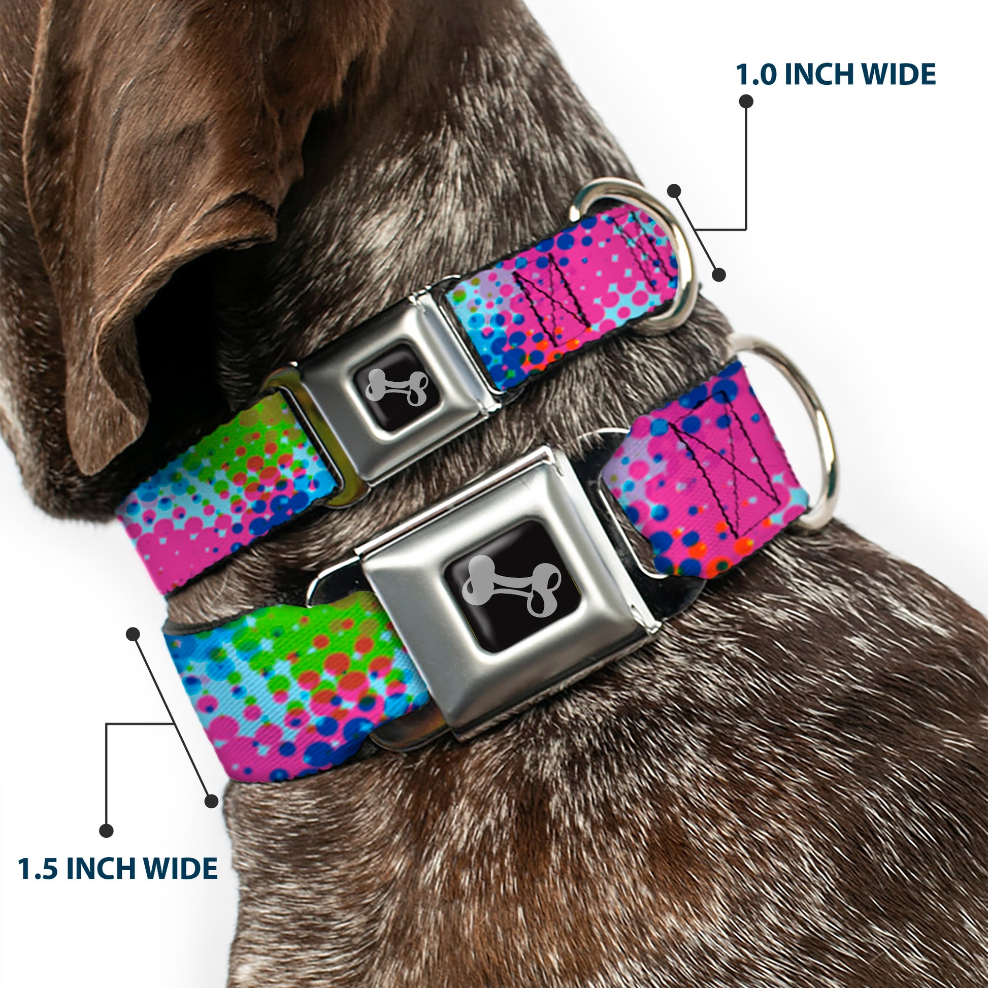 Dog Bone Seatbelt Buckle Collar - Halftone Dots Light Blue/Blues/Greens/Pinks Seatbelt Buckle Collars Buckle-Down