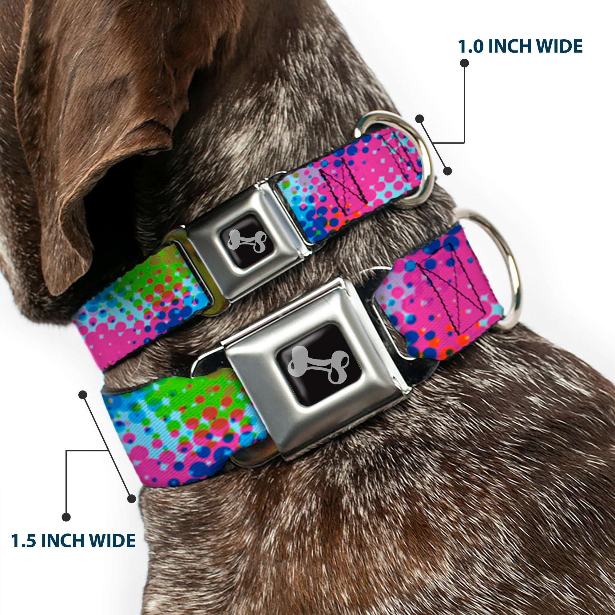 Dog Bone Seatbelt Buckle Collar - Halftone Dots Light Blue/Blues/Greens/Pinks Seatbelt Buckle Collars Buckle-Down