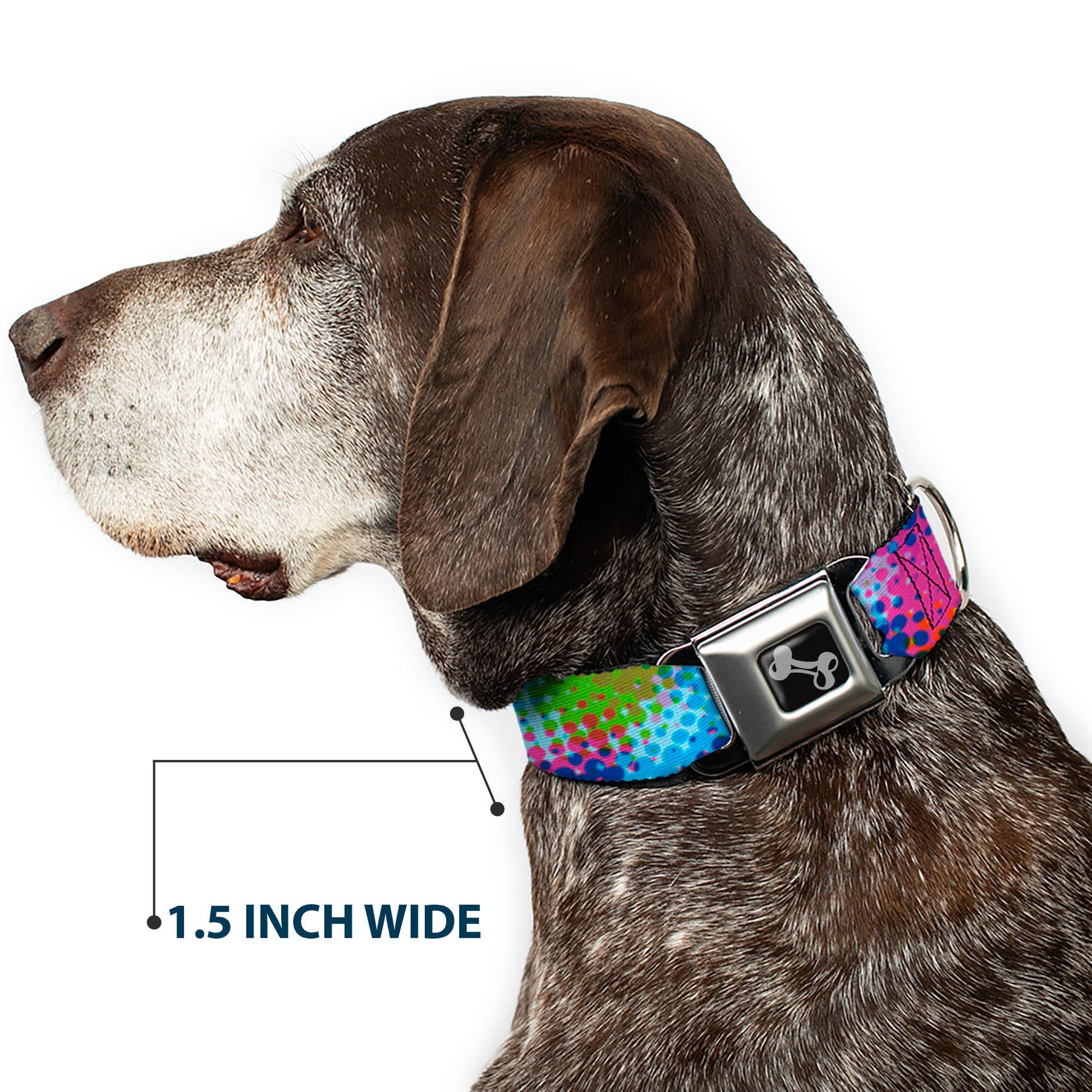 Dog Bone Seatbelt Buckle Collar - Halftone Dots Light Blue/Blues/Greens/Pinks Seatbelt Buckle Collars Buckle-Down