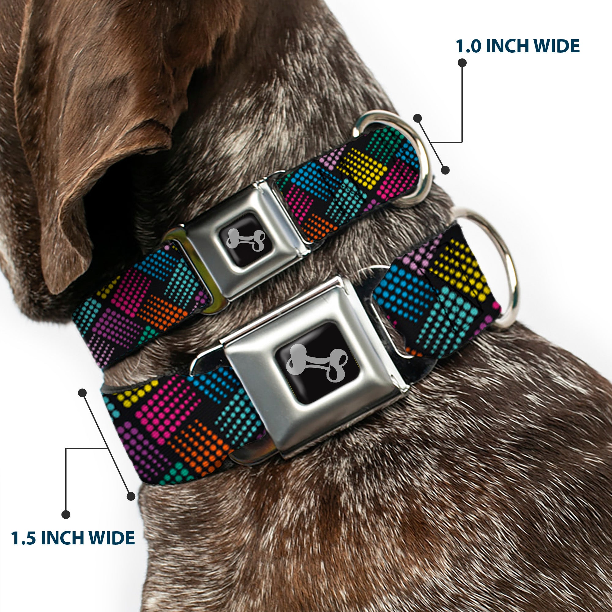 Dog Bone Seatbelt Buckle Collar - Halftone Blocks Charcoal/Pinks/Greens/Orange/Yellow Seatbelt Buckle Collars Buckle-Down
