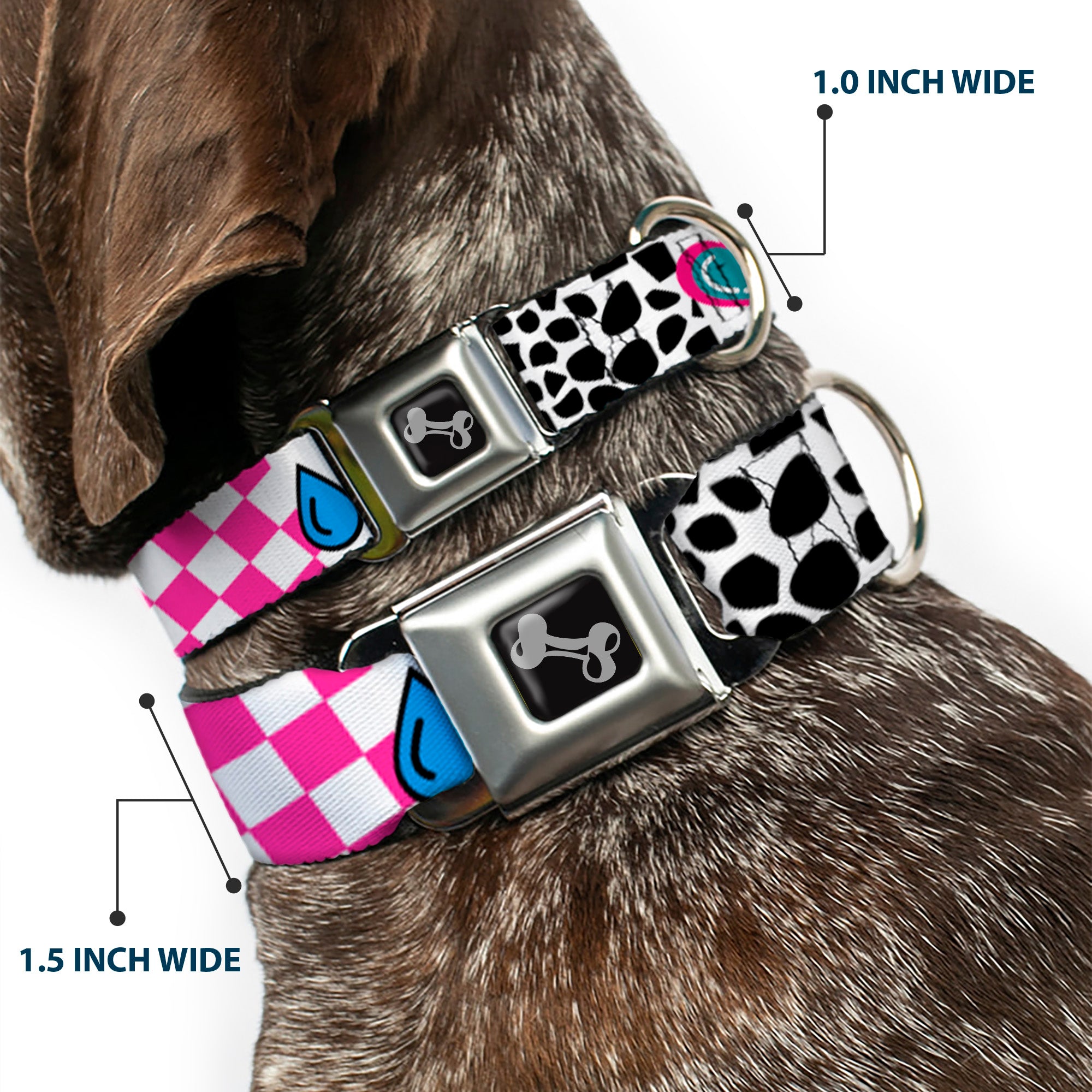 Dog Bone Seatbelt Buckle Collar - Icons & Patterns 1 Seatbelt Buckle Collars Buckle-Down