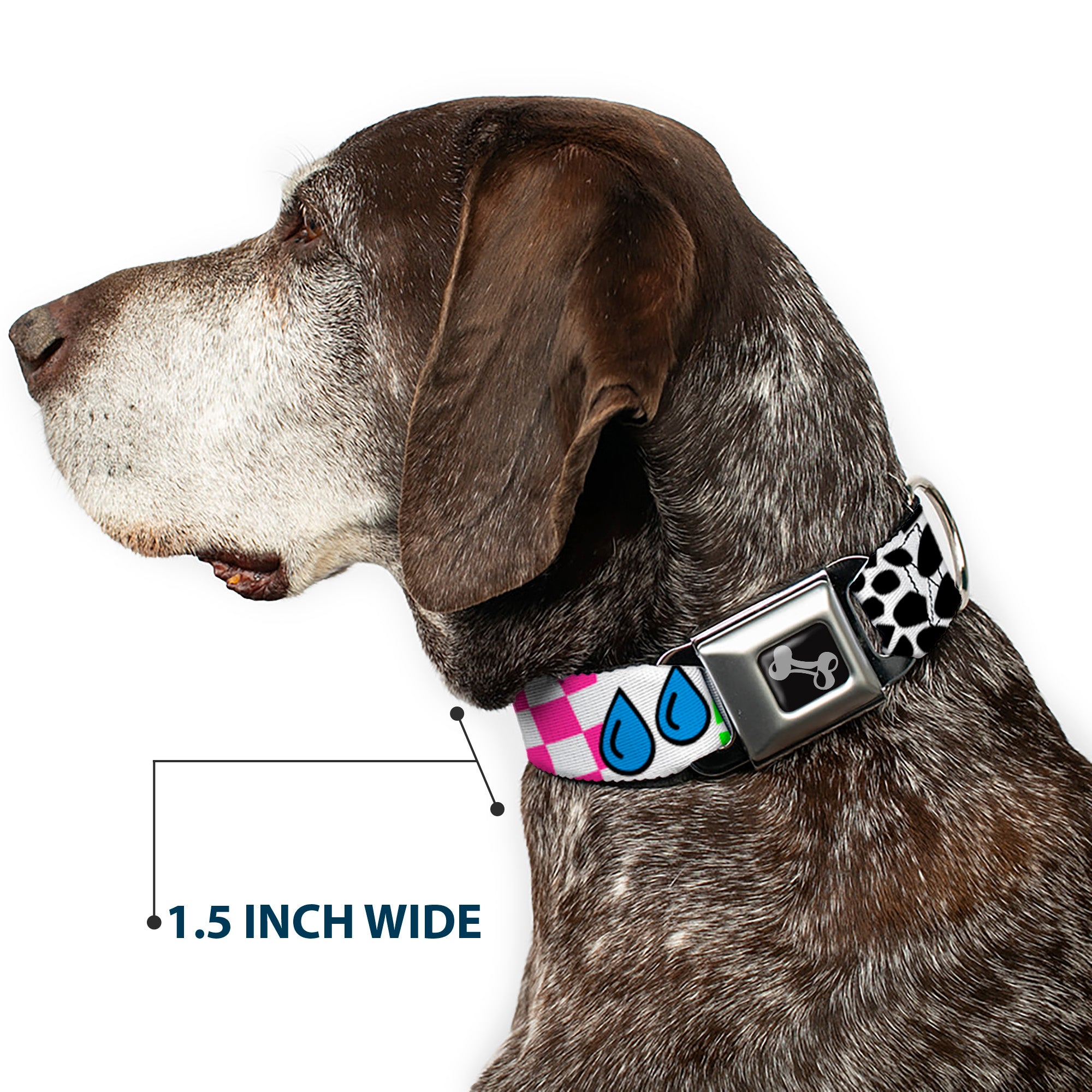 Dog Bone Seatbelt Buckle Collar - Icons & Patterns 1 Seatbelt Buckle Collars Buckle-Down