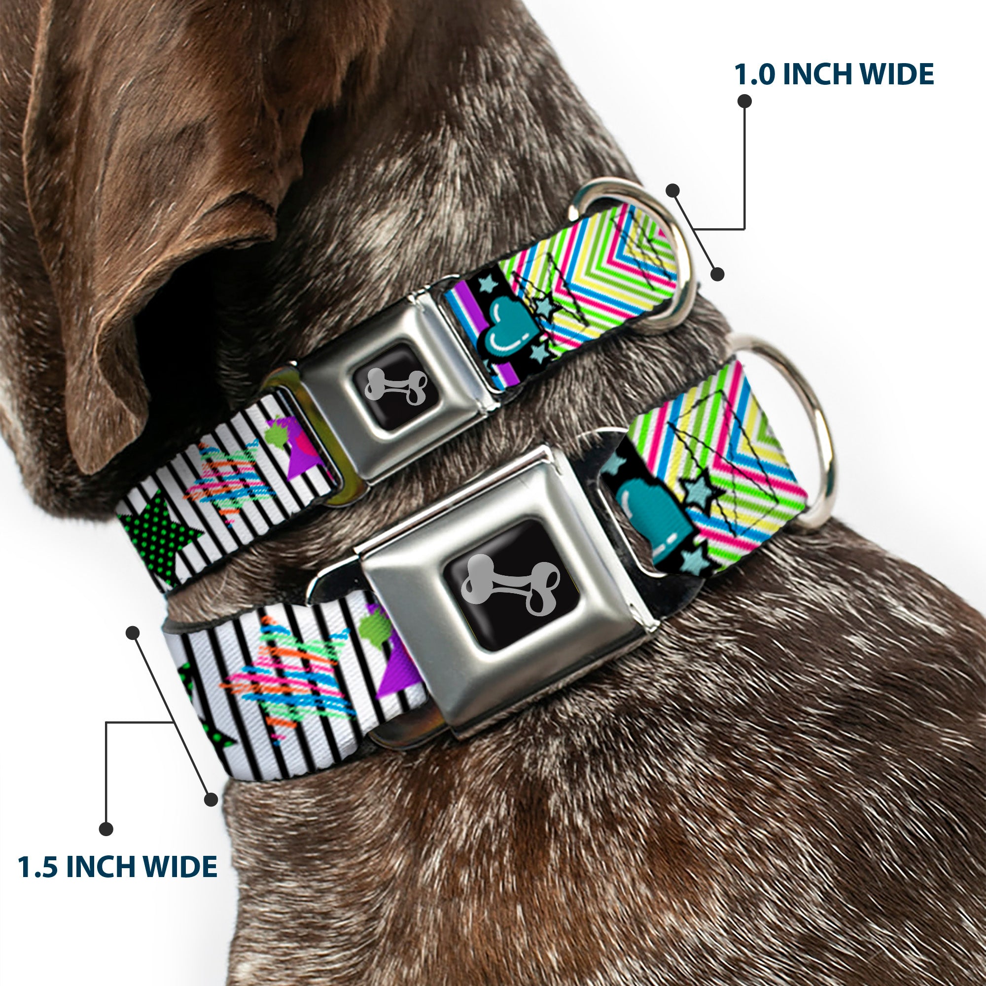Dog Bone Seatbelt Buckle Collar - Icons & Patterns 2 Seatbelt Buckle Collars Buckle-Down
