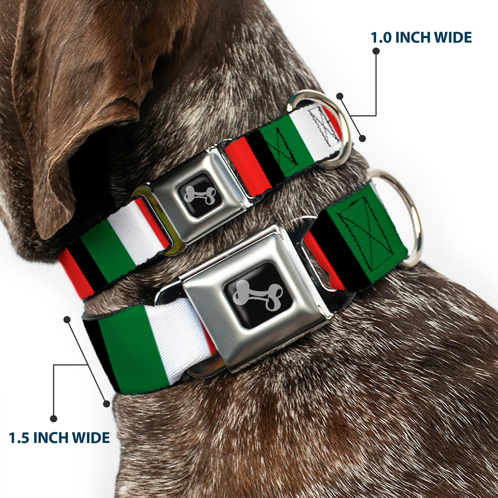 Dog Bone Seatbelt Buckle Collar - Italy Flags Seatbelt Buckle Collars Buckle-Down