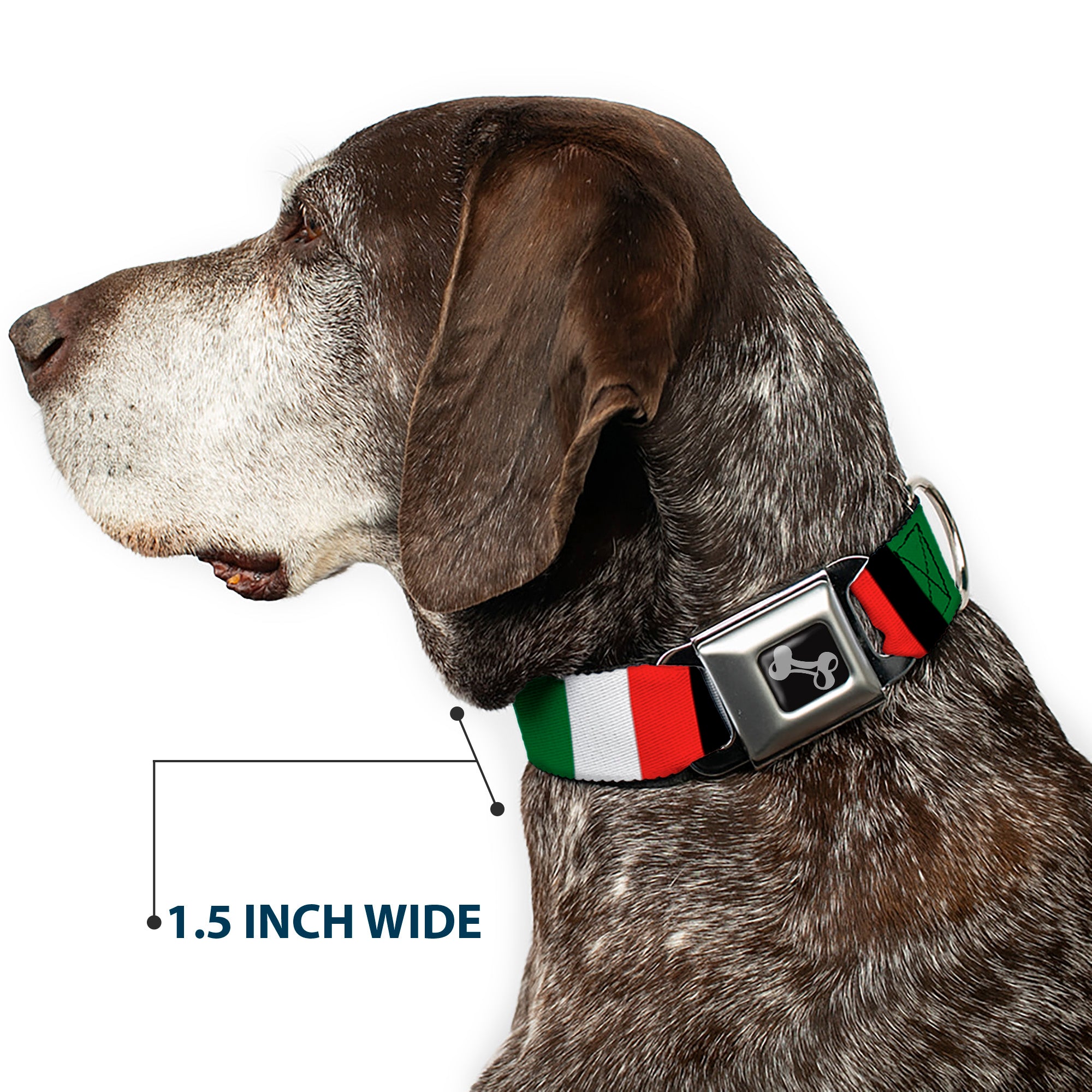 Dog Bone Seatbelt Buckle Collar - Italy Flags Seatbelt Buckle Collars Buckle-Down